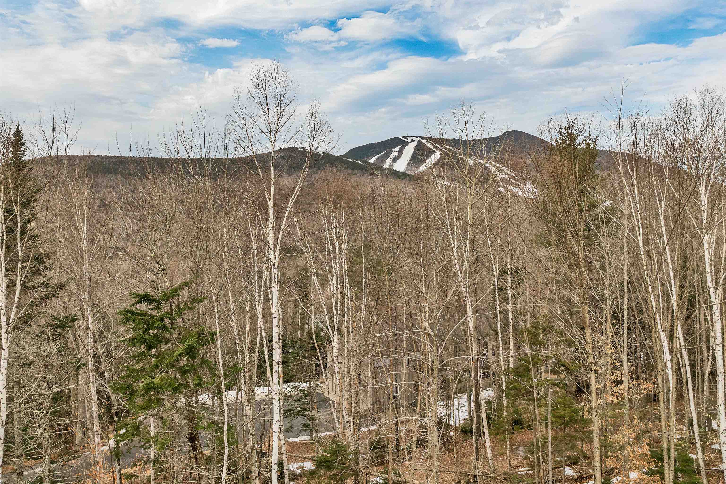 130 Snows Mountain Road
