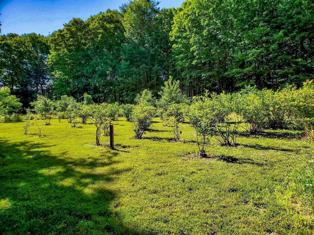 Photo of 226 Amesbury Road, Kensington, NH 03833 (MLS # 5071824)