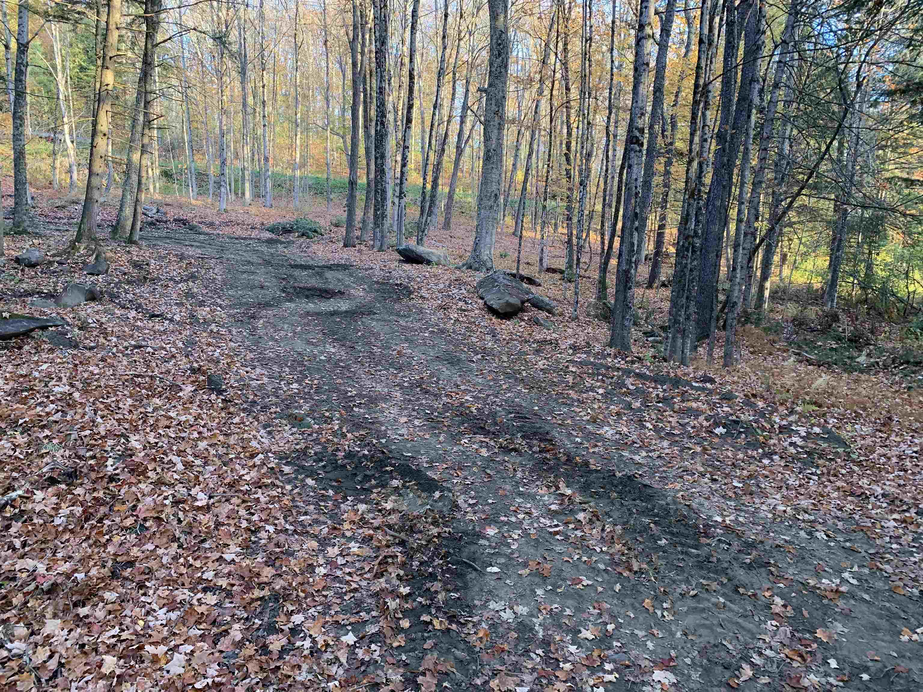 East Montpelier, Vermont 05651, United States, ,Land,Active,184244