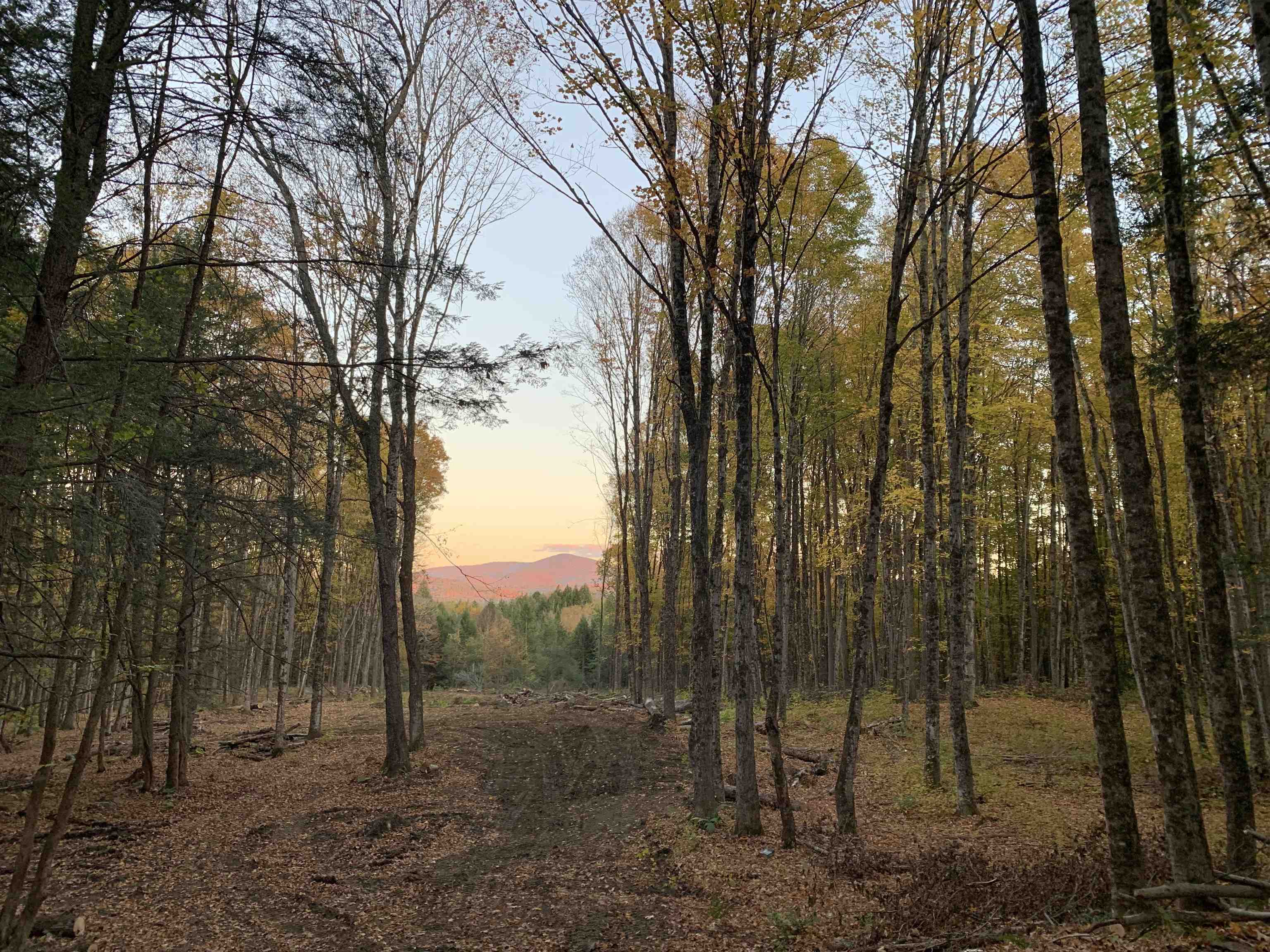 East Montpelier, Vermont 05651, United States, ,Land,Active,184244