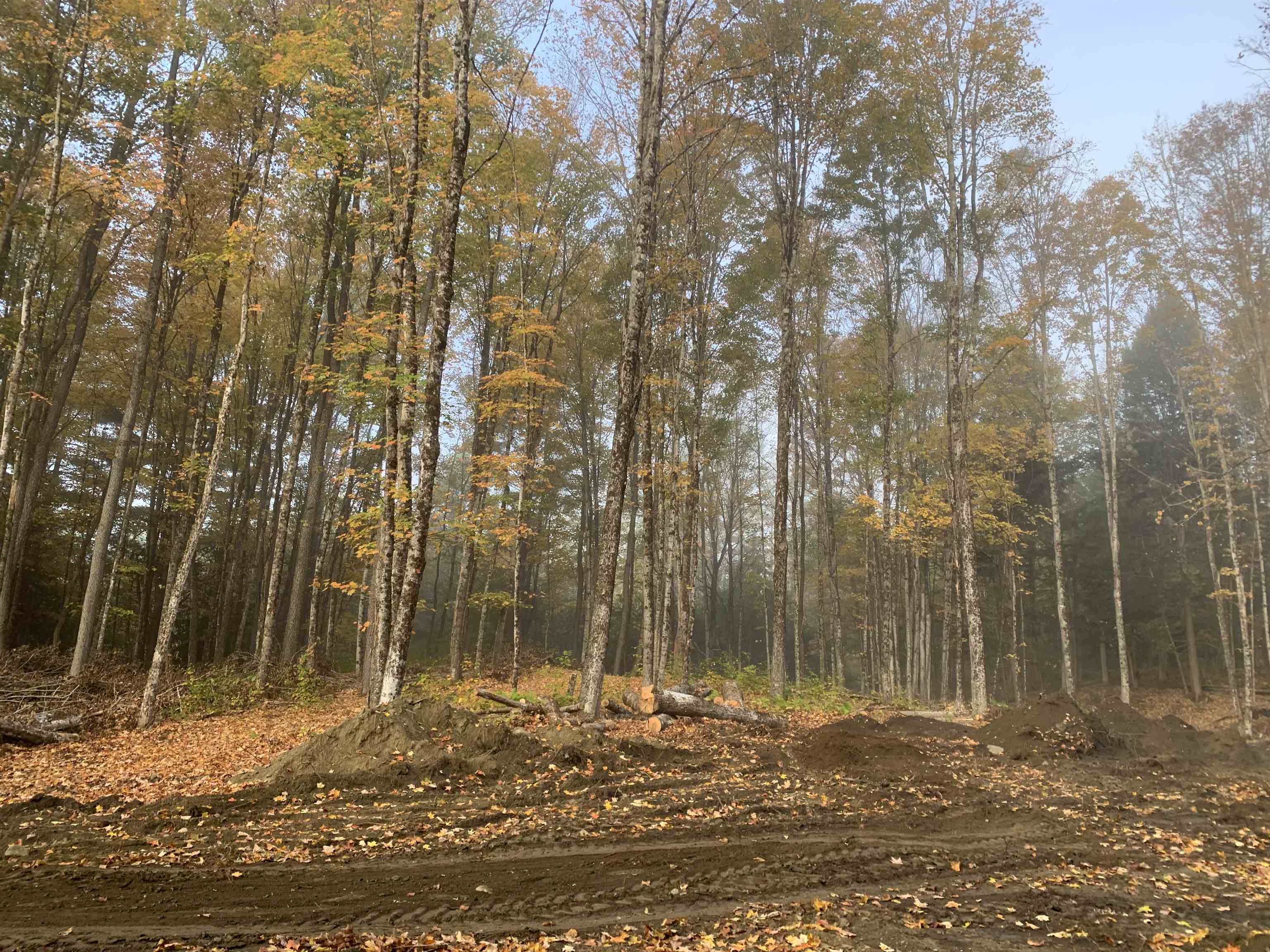 East Montpelier, Vermont 05651, United States, ,Land,Active,184244