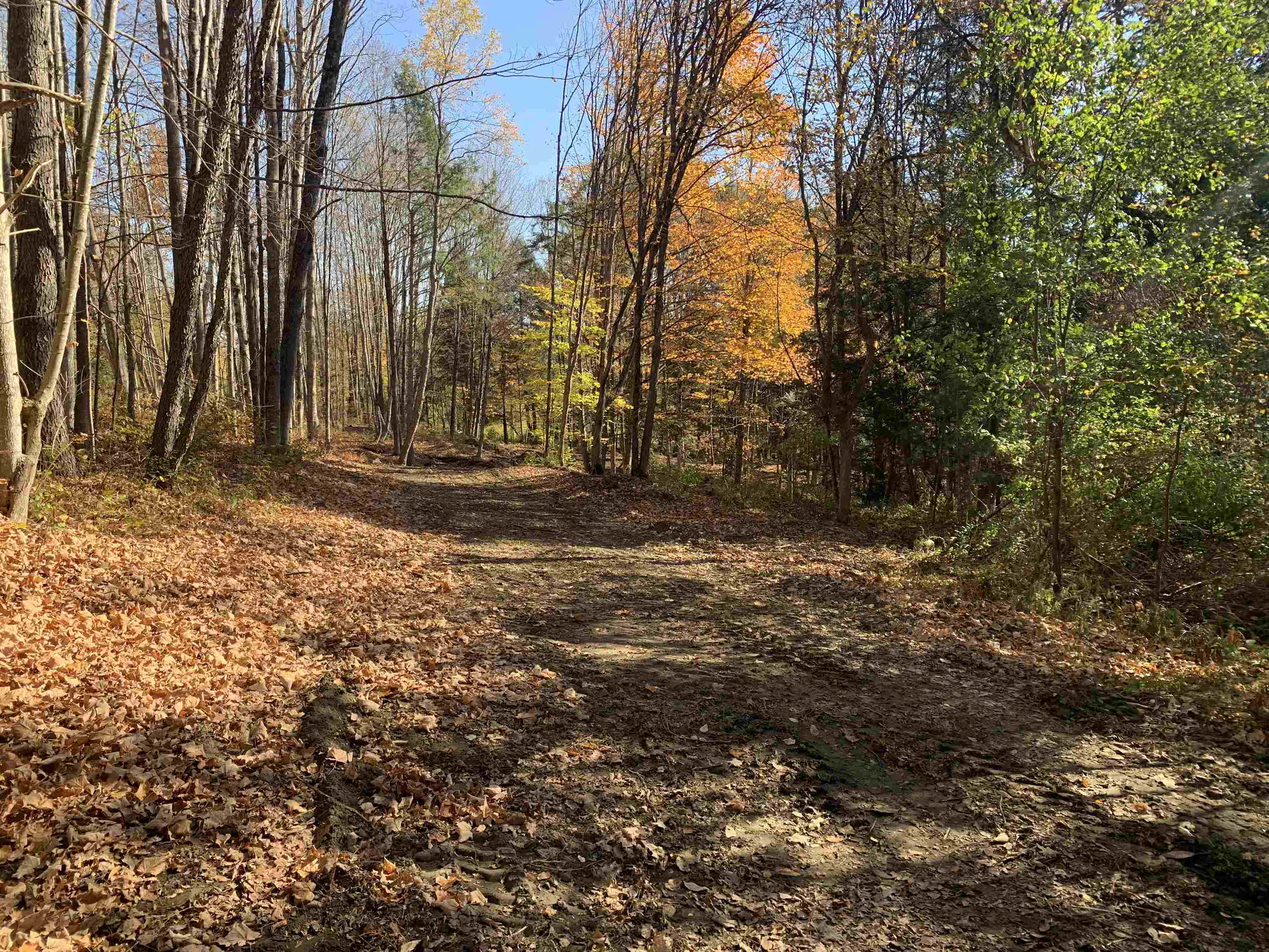 East Montpelier, Vermont 05651, United States, ,Land,Active,184244