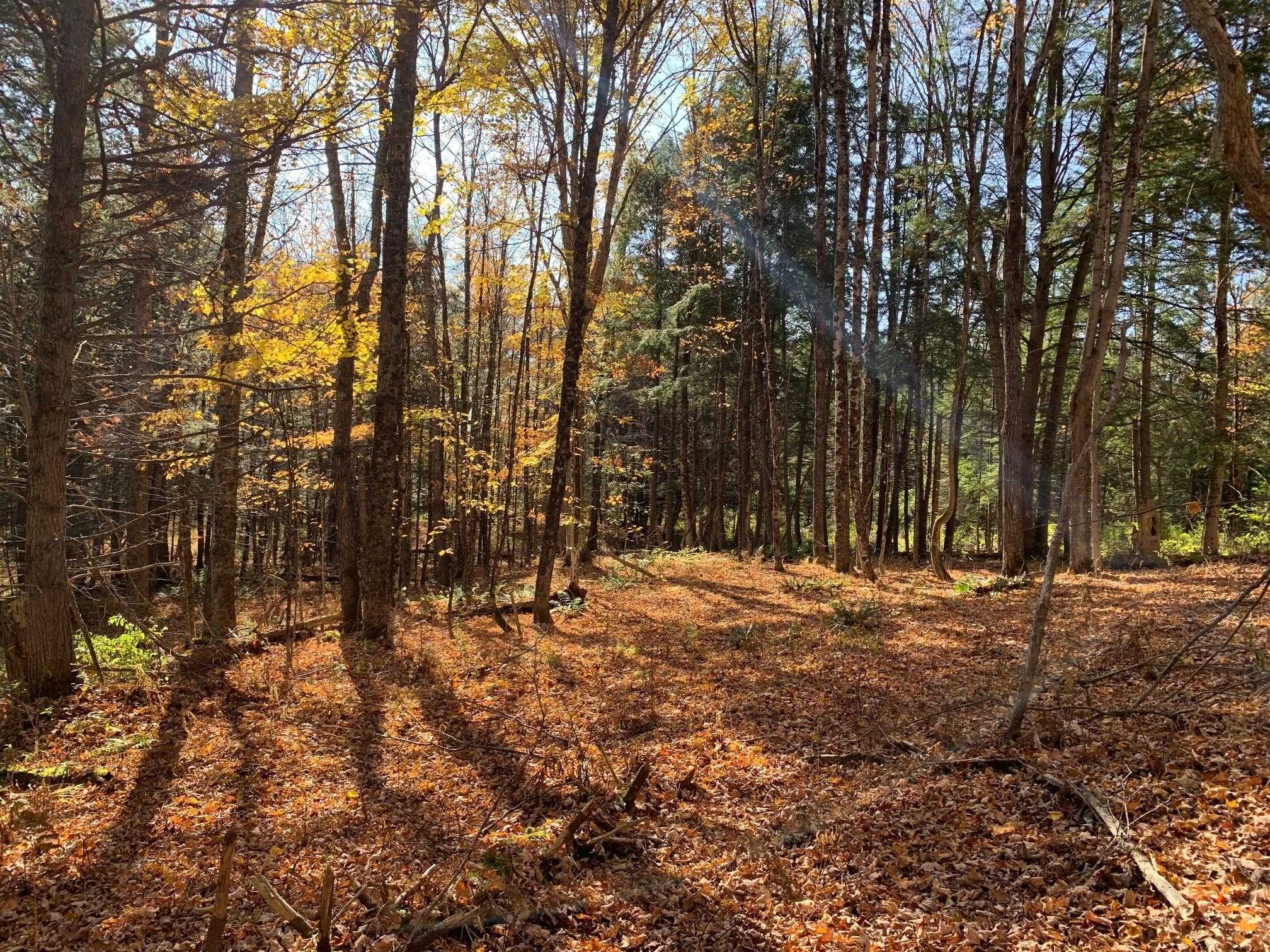 East Montpelier, Vermont 05651, United States, ,Land,Active,184244