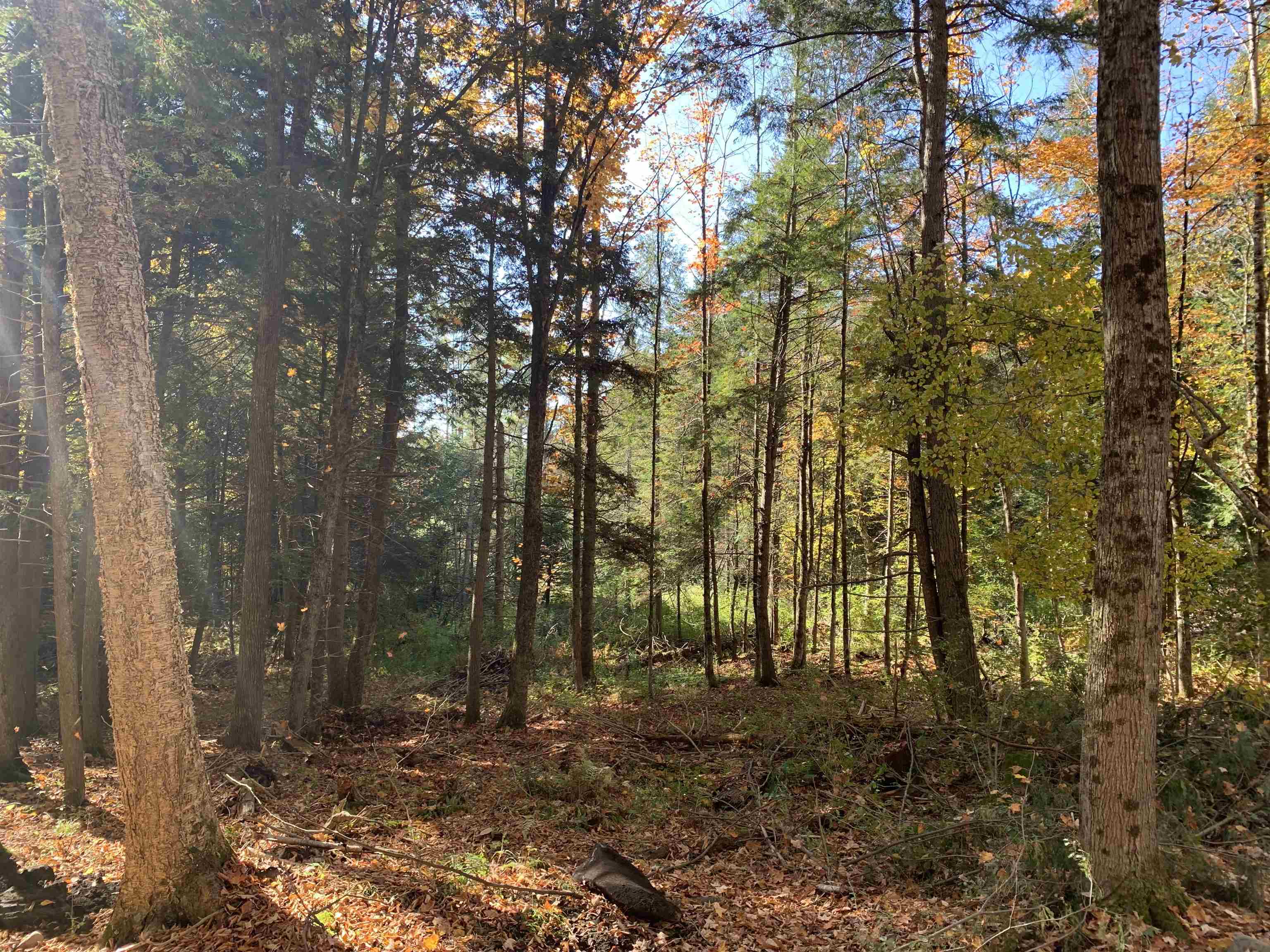 East Montpelier, Vermont 05651, United States, ,Land,Active,184244