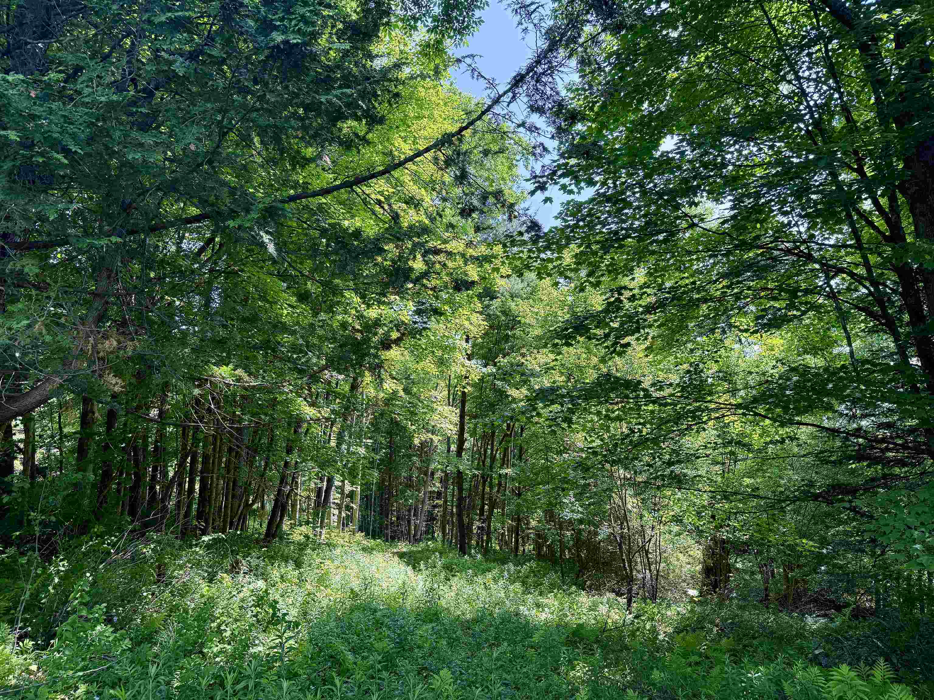 East Montpelier, Vermont 05651, United States, ,Land,Active,184244