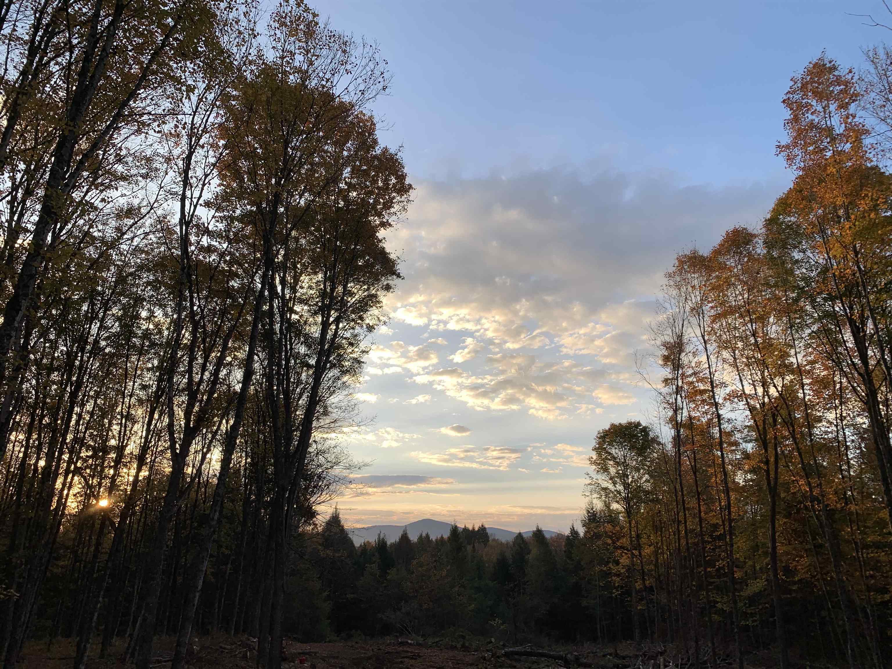 East Montpelier, Vermont 05651, United States, ,Land,Active,184244