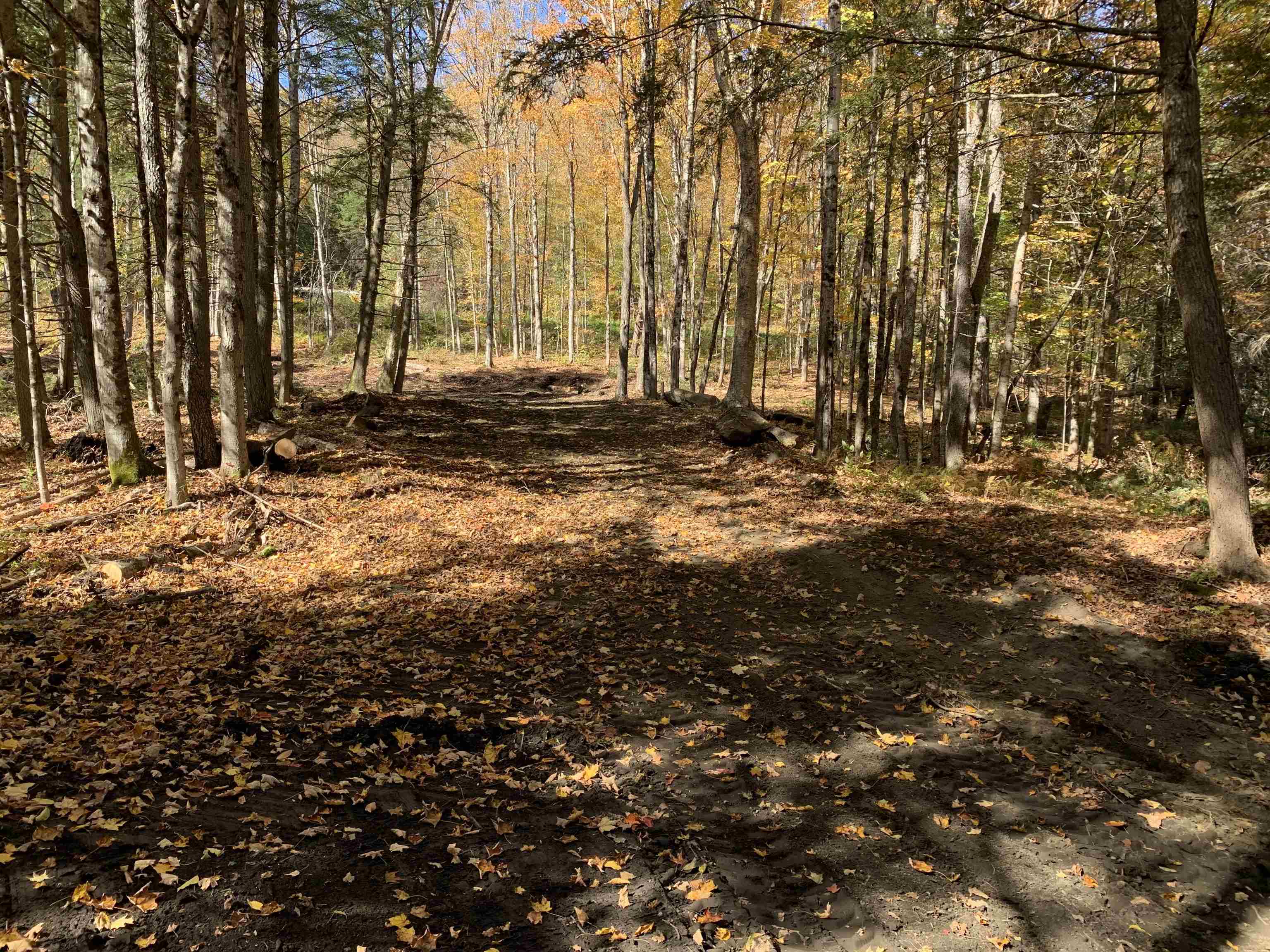 East Montpelier, Vermont 05651, United States, ,Land,Active,184244