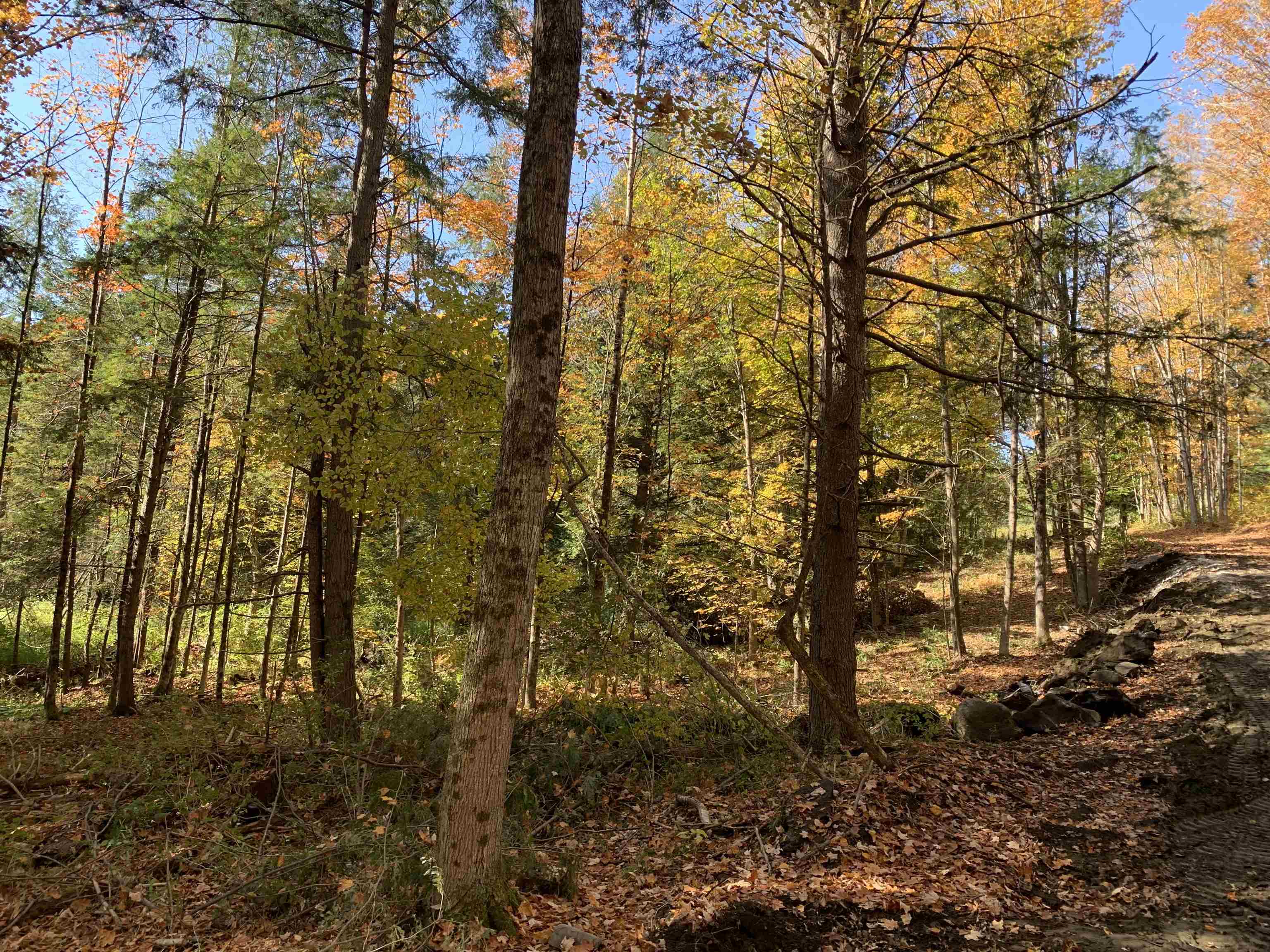 East Montpelier, Vermont 05651, United States, ,Land,Active,184244