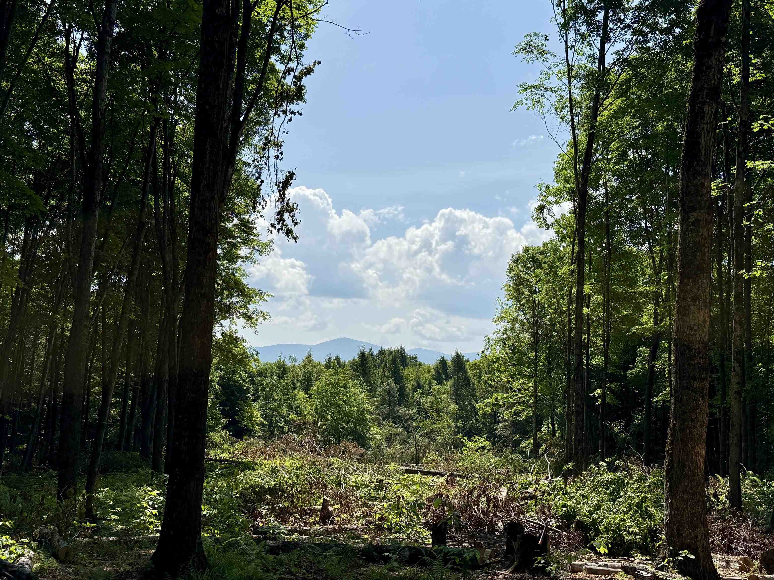 East Montpelier, Vermont 05651, United States, ,Land,Active,184244