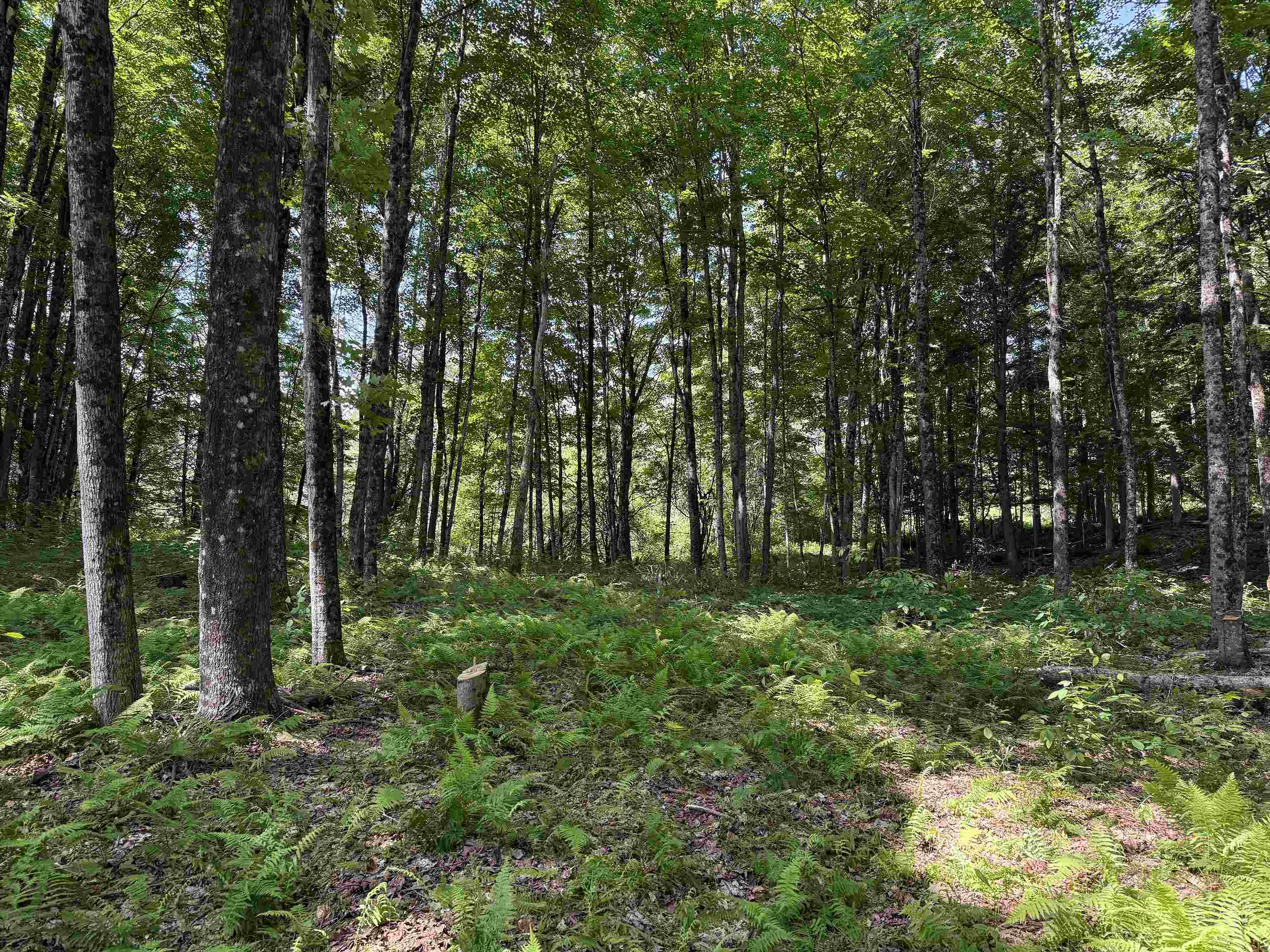 East Montpelier, Vermont 05651, United States, ,Land,Active,184244