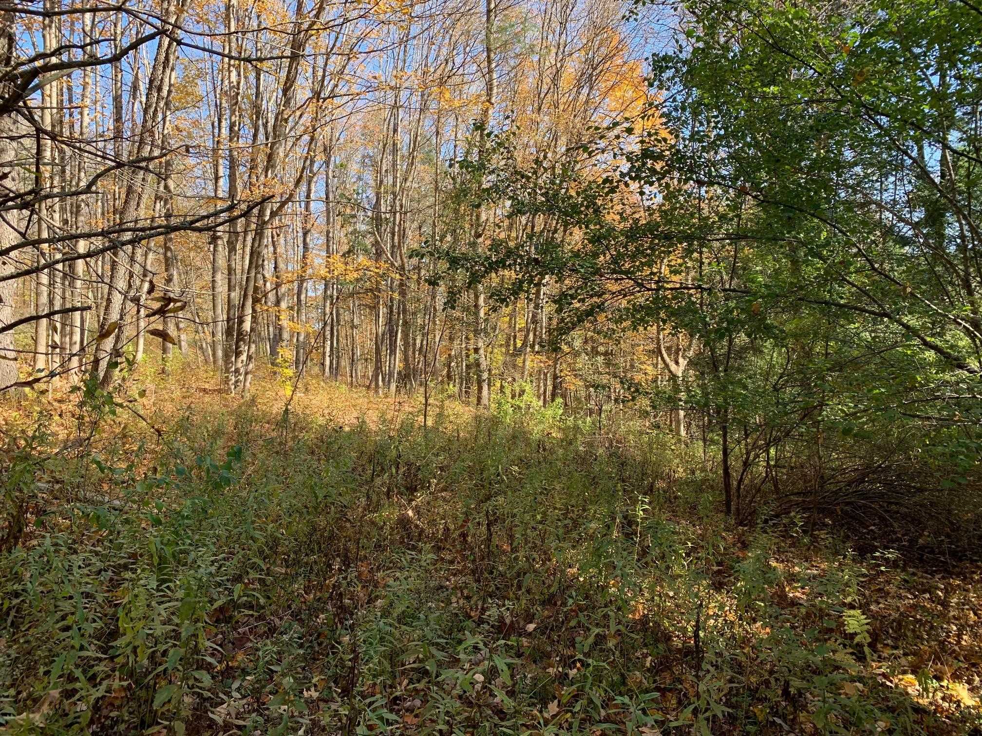 East Montpelier, Vermont 05651, United States, ,Land,Active,184244