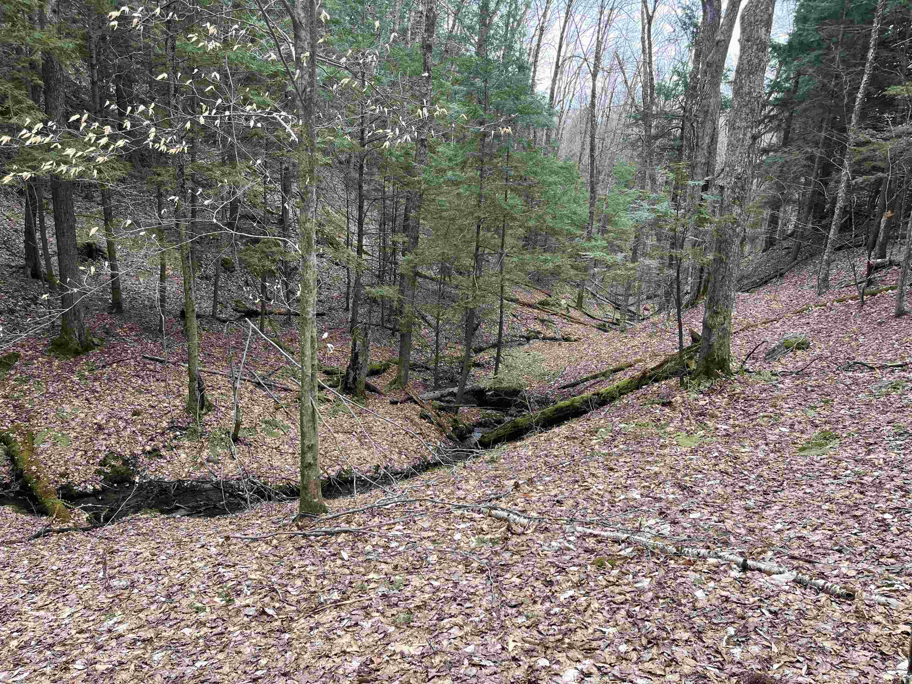 4 & 5 Haley Drive Lot 4 & Lot 5