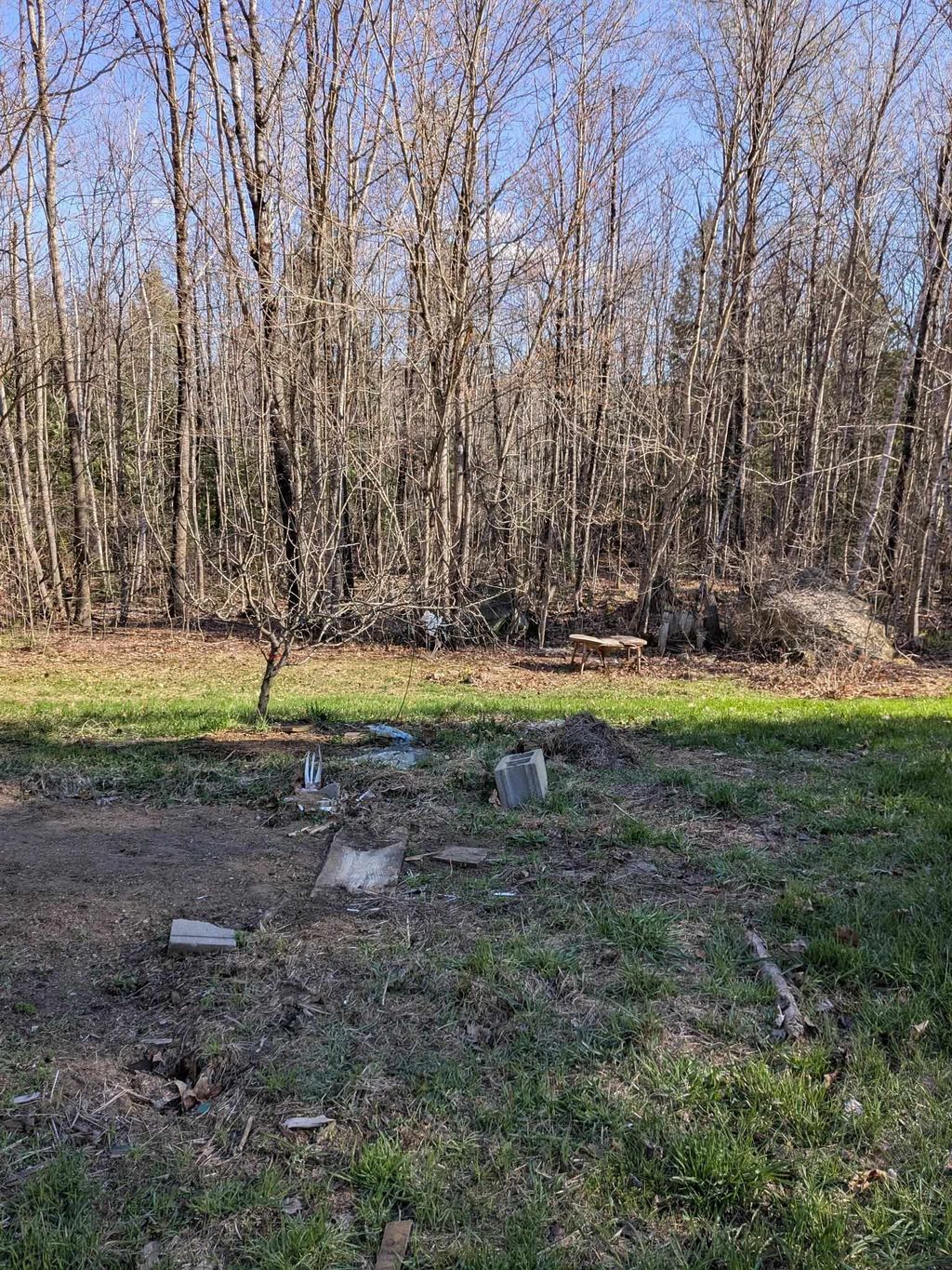 Photo of 19 Easy Avenue, Albany, NH 03818 (MLS # 5085464)