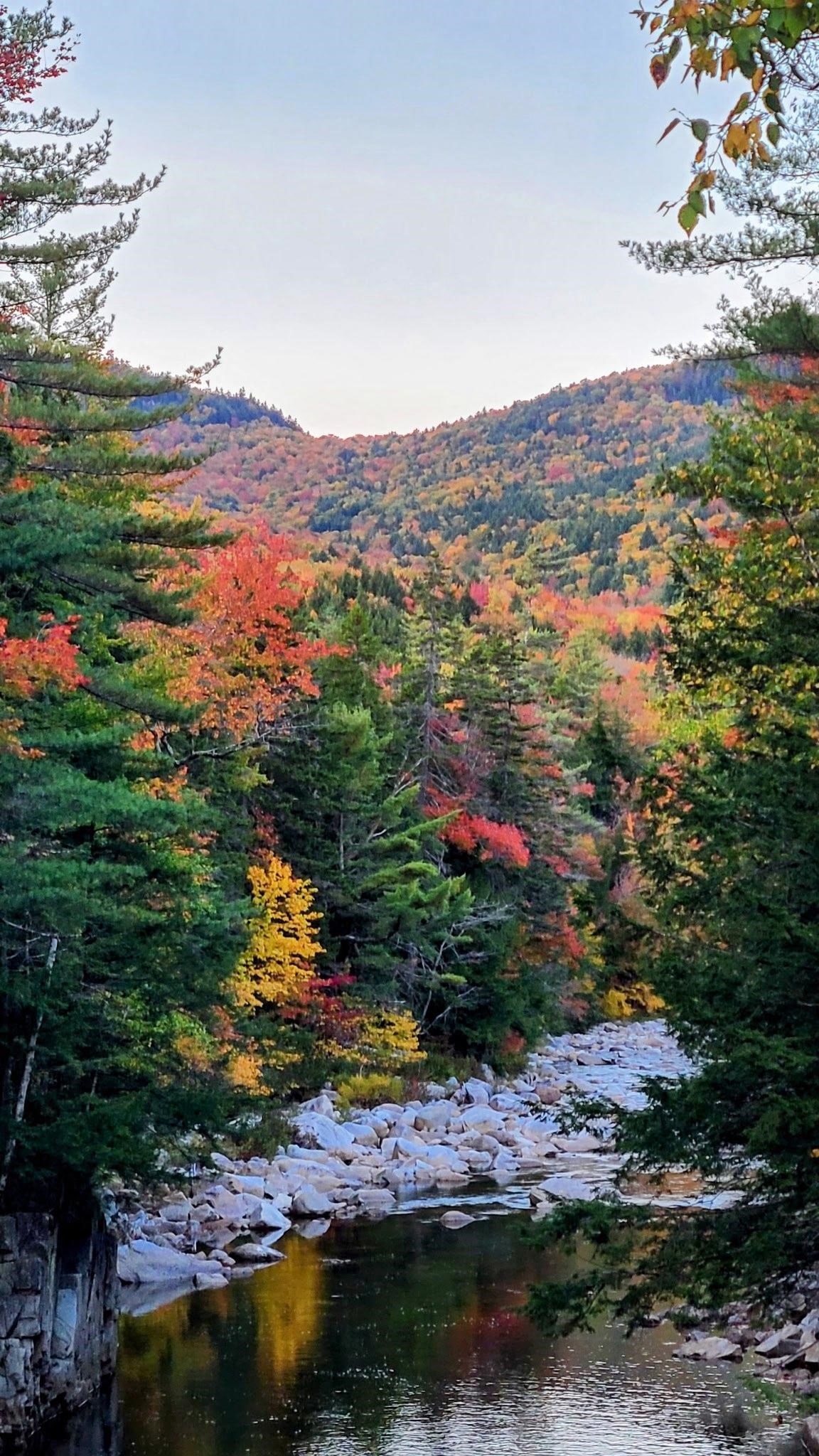 Albany, New Hampshire 03818, United States, 3 Bedrooms Bedrooms, ,3 BathroomsBathrooms,Residential,Active,226704