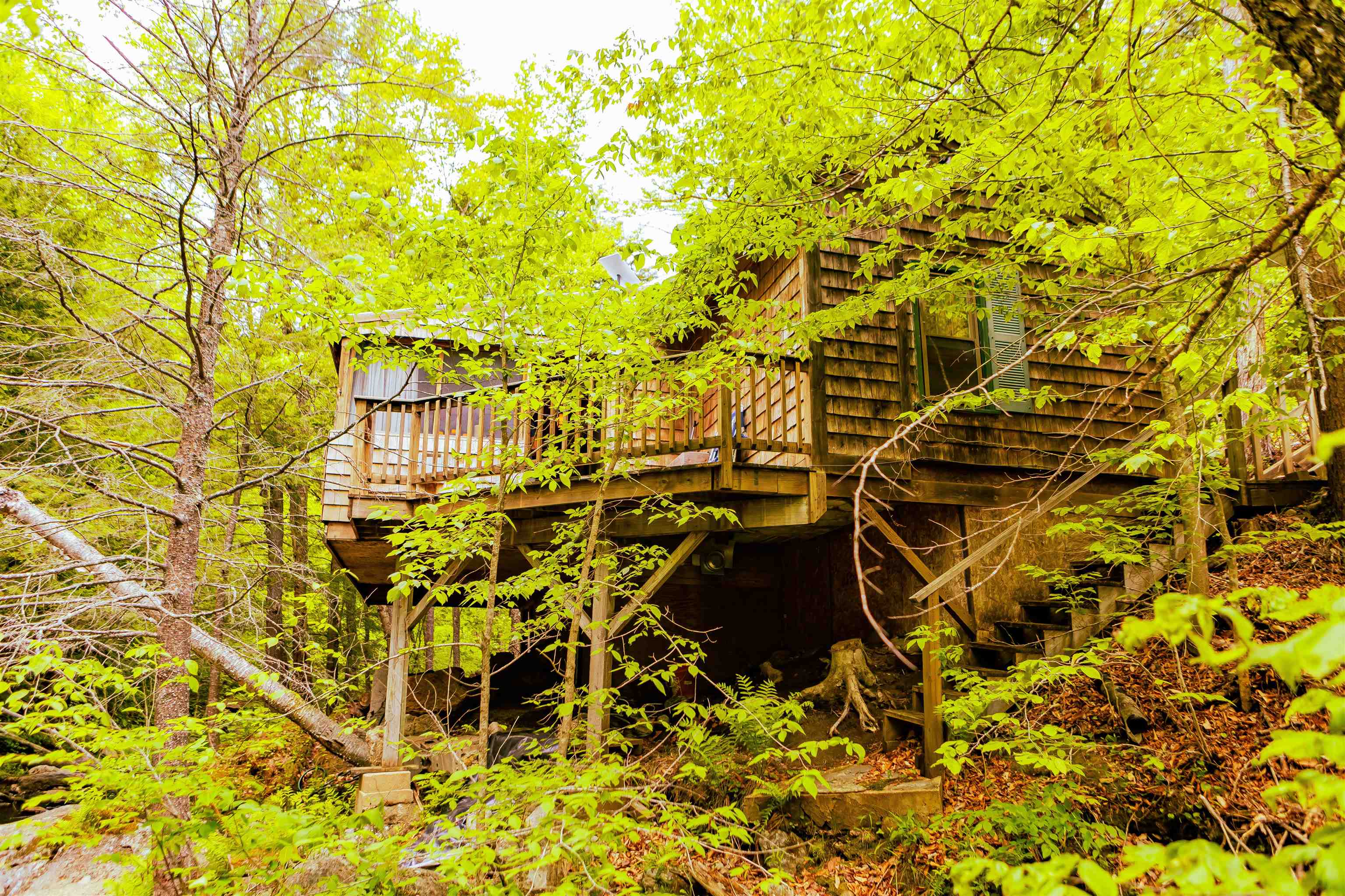 447 Halls Brook Road