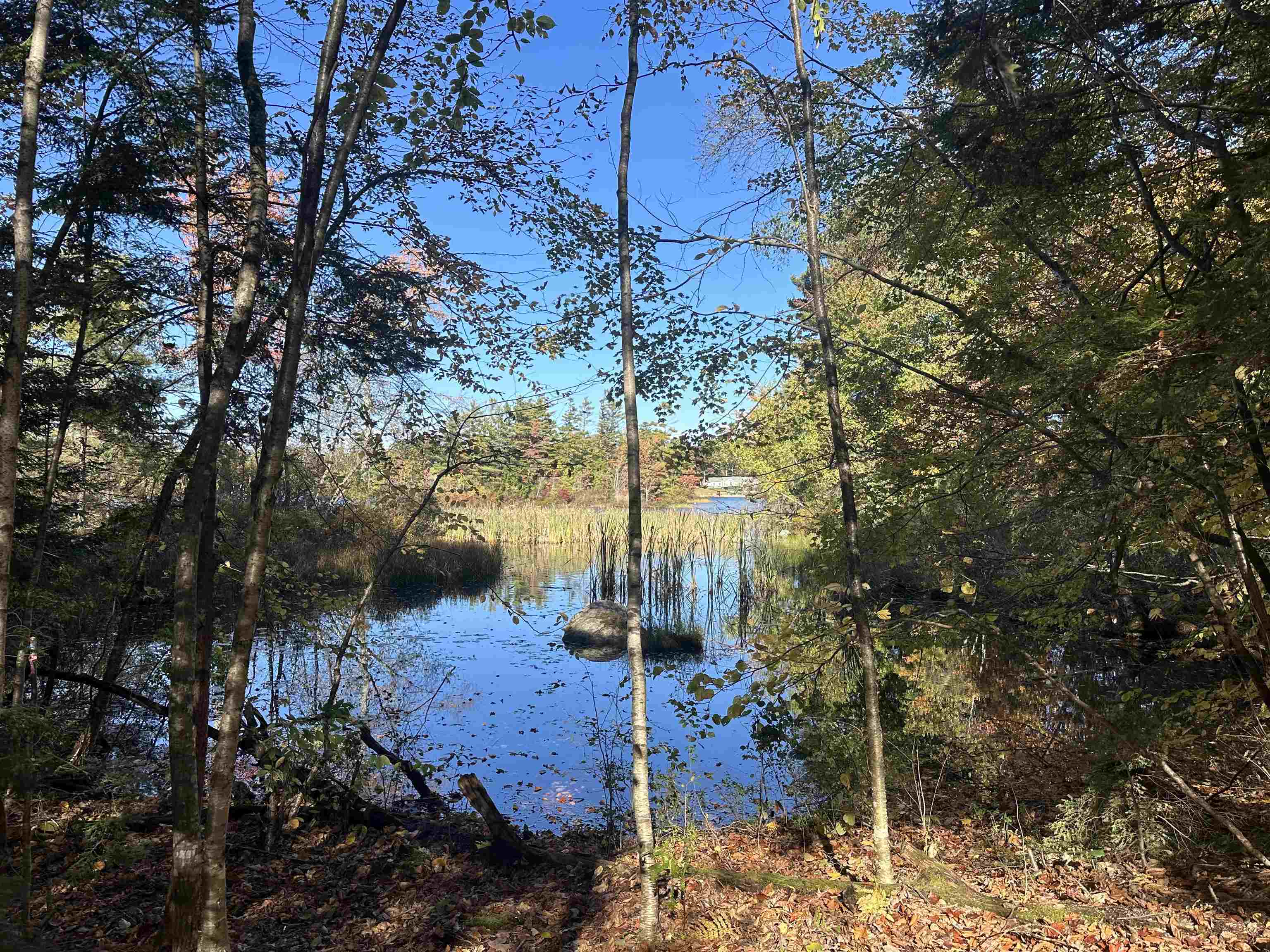 50 Auclair Road lot 43 & 65