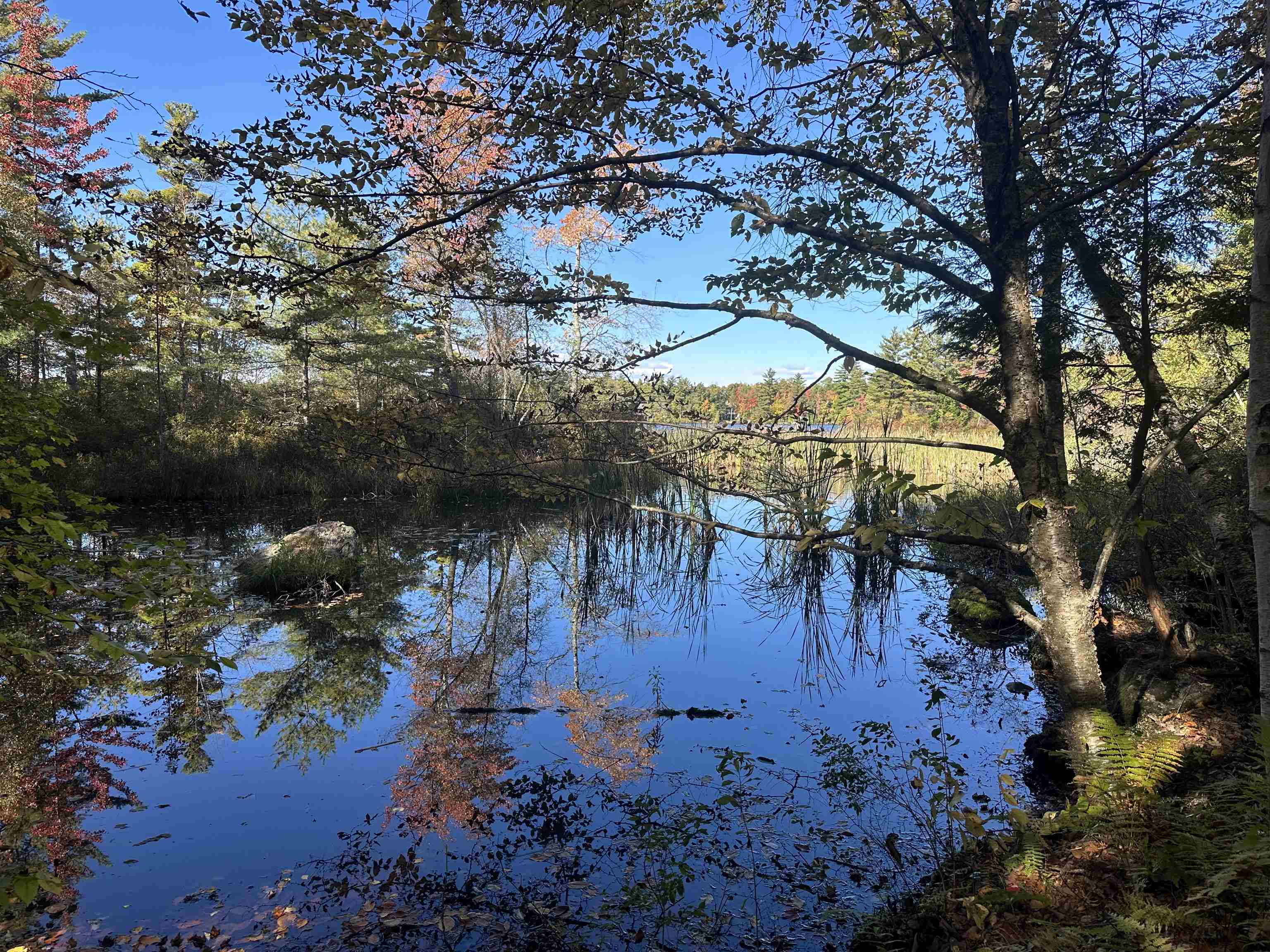 50 Auclair Road lot 43 & 65