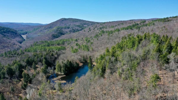 23 TURKEY MOUNTAIN RD, JAMAICA, VT 05343 - Image 7c6a8f65c7cba4926fbccf85749b60c9/2446141017