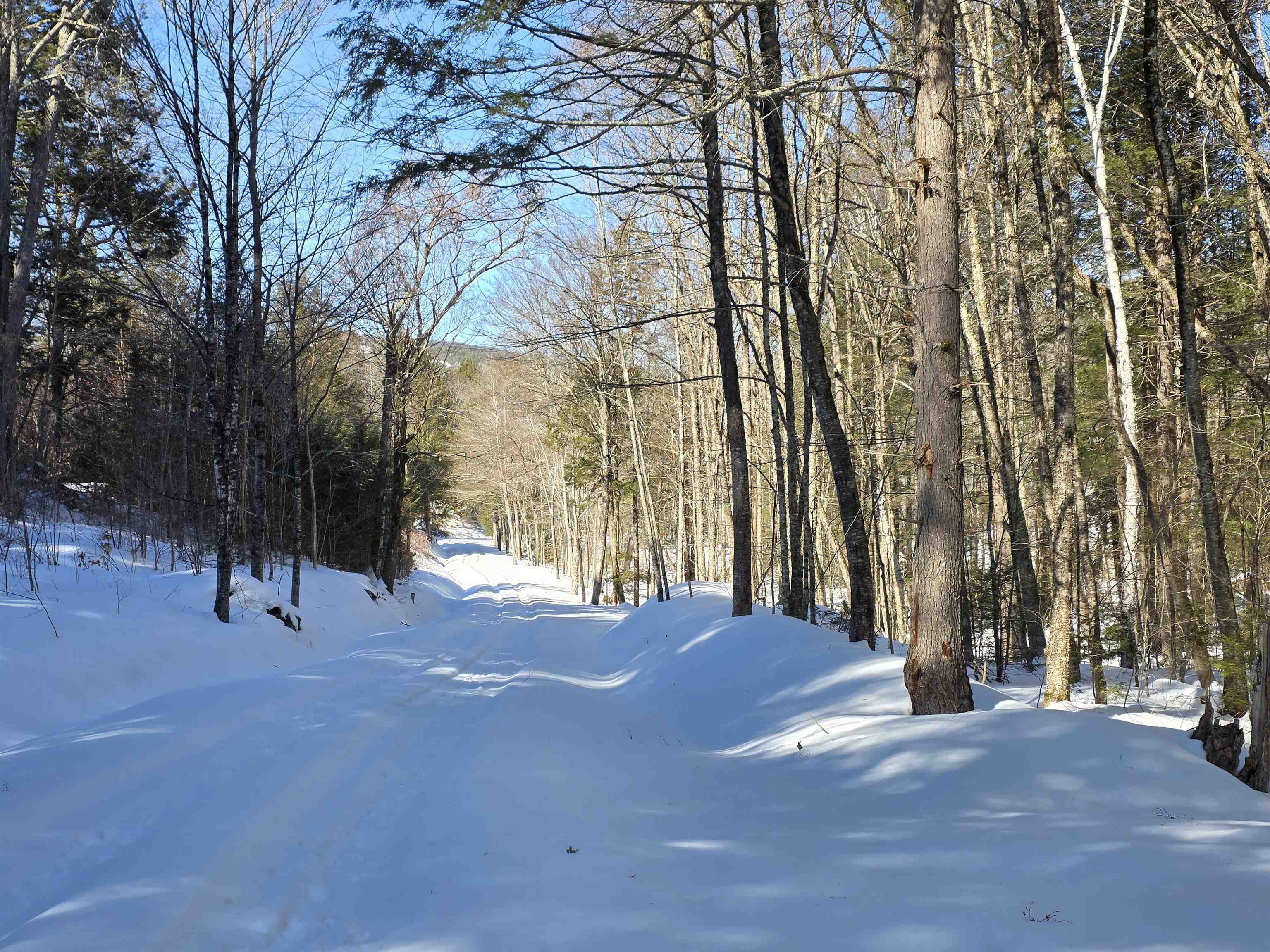 00 Turkey Mountain Road