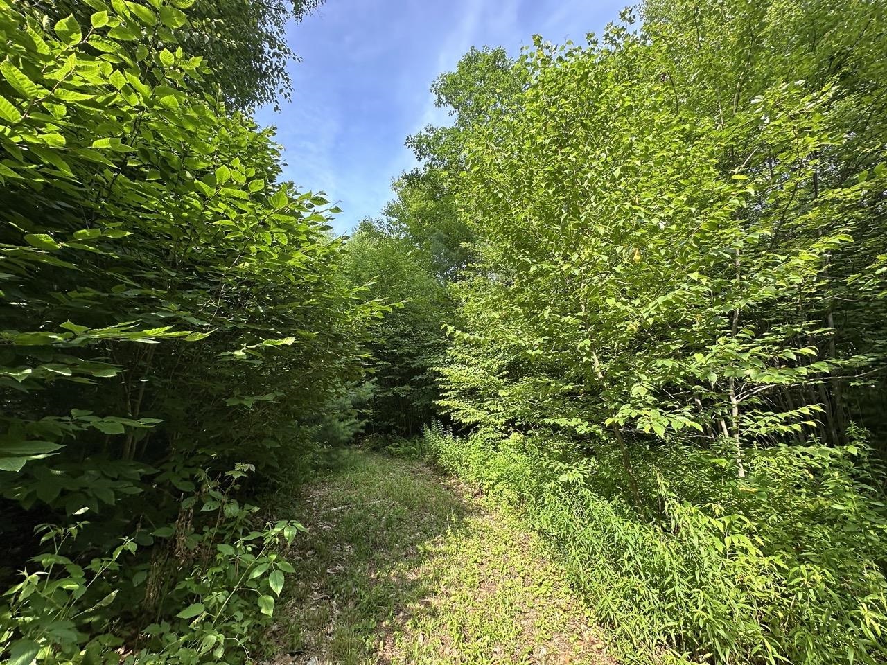 00 VT Route 103 N Lot 4