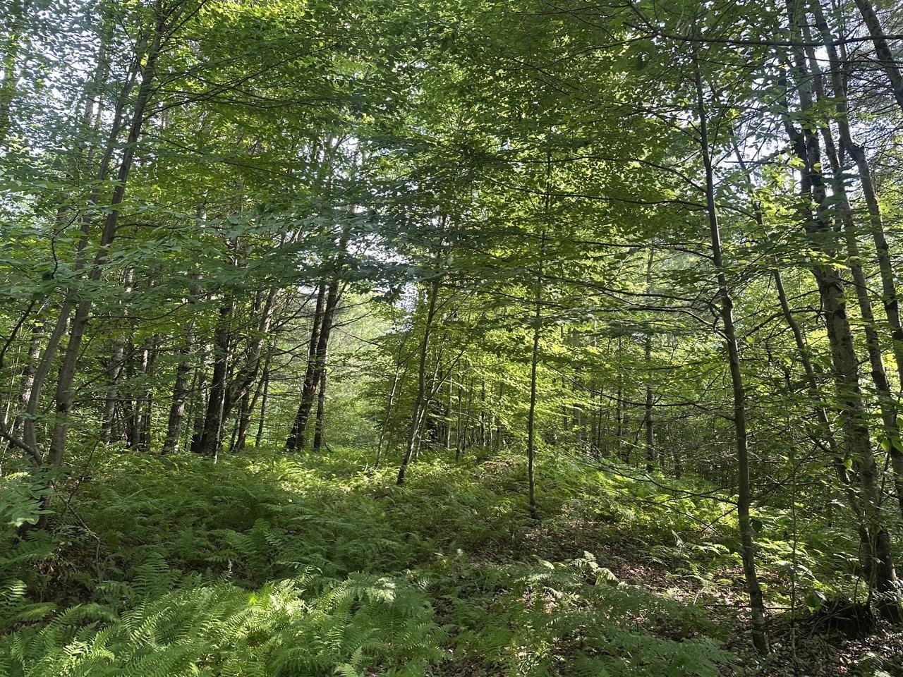 00 VT Route 103 N Lot 4