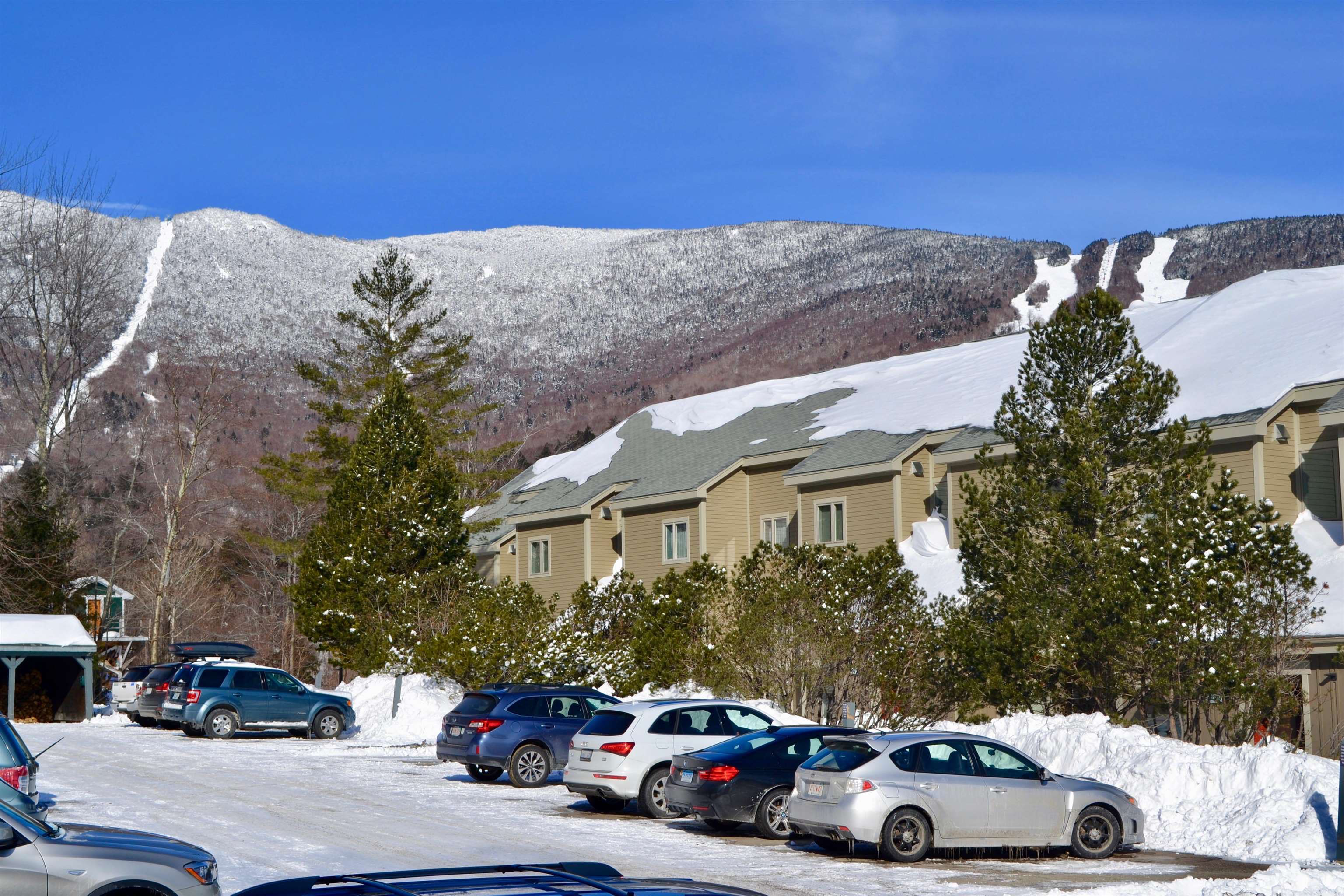 116 Snow Creek Road 52