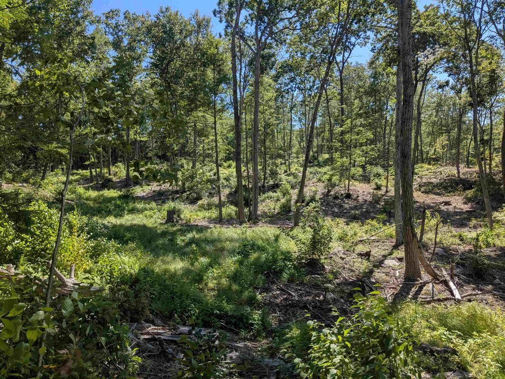 Photo of 0 Old Hinsdale Road, Winchester, NH 03470 (MLS # 5052965)
