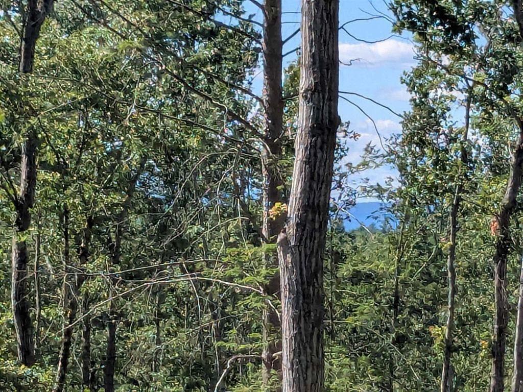 Photo of 0 Old Hinsdale Road, Winchester, NH 03470 (MLS # 5052965)