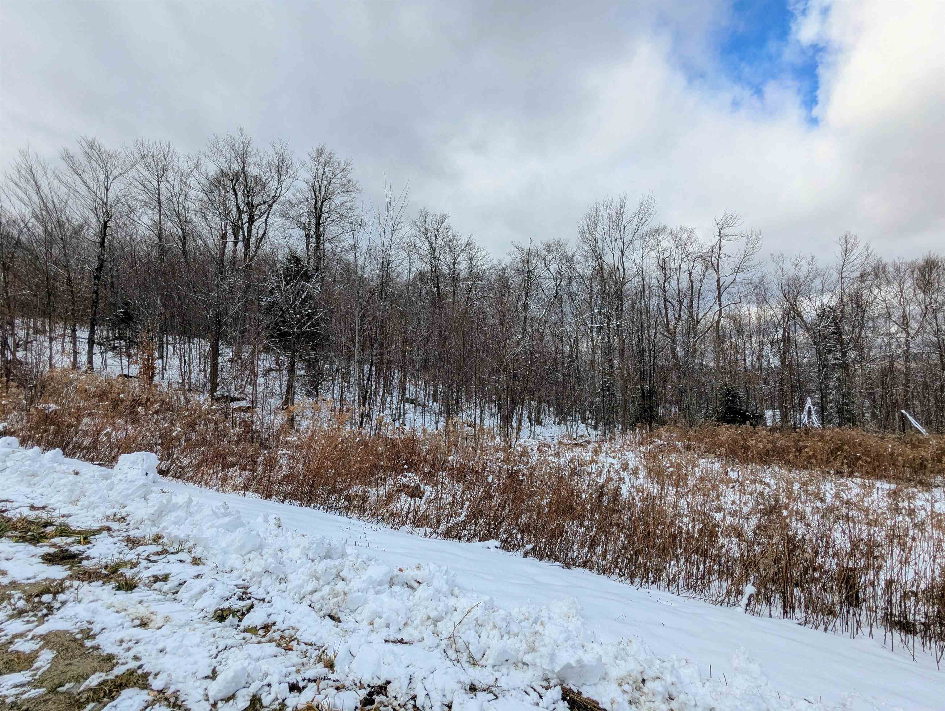 41 Moose Hollow Road