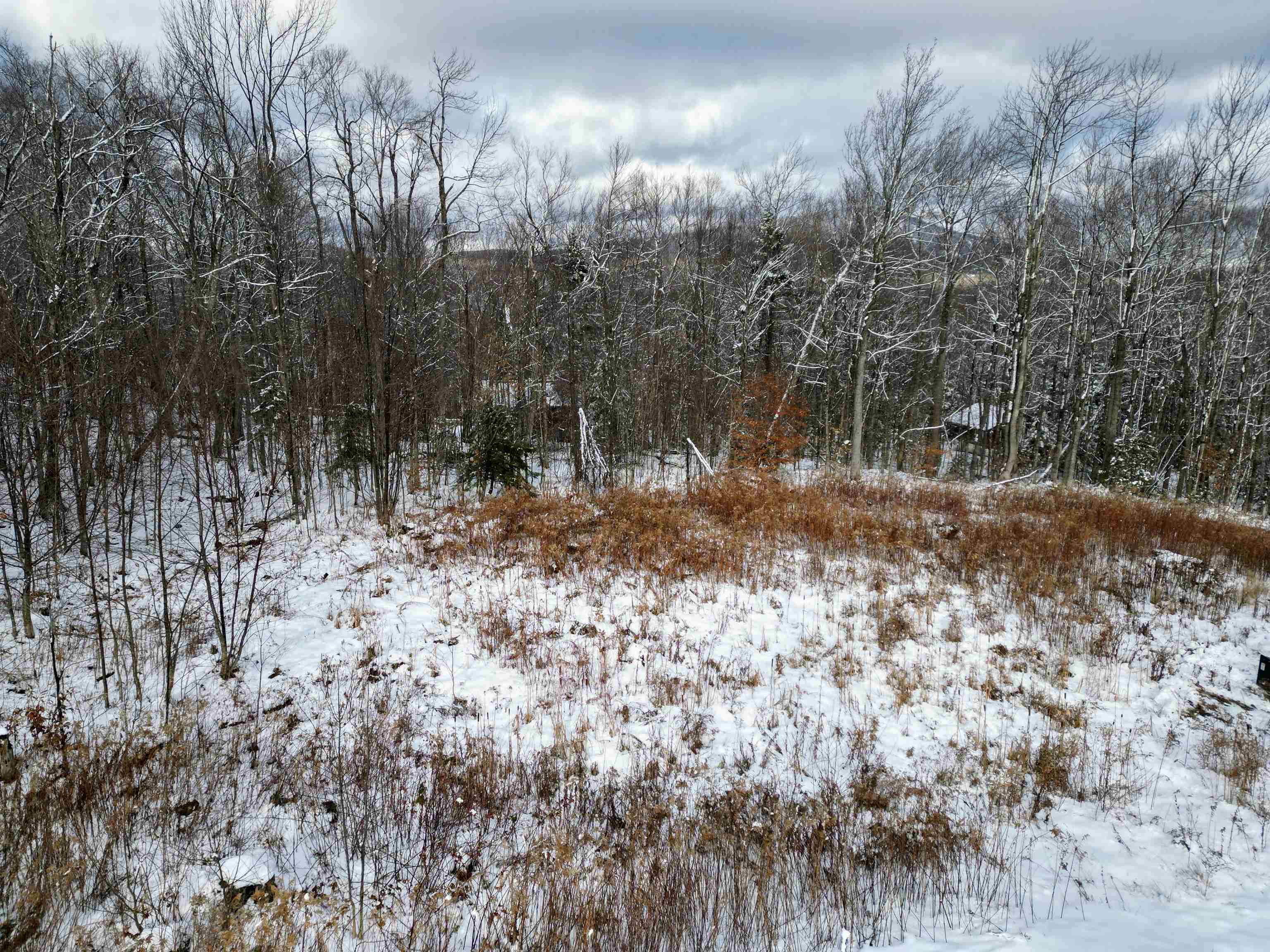 41 Moose Hollow Road