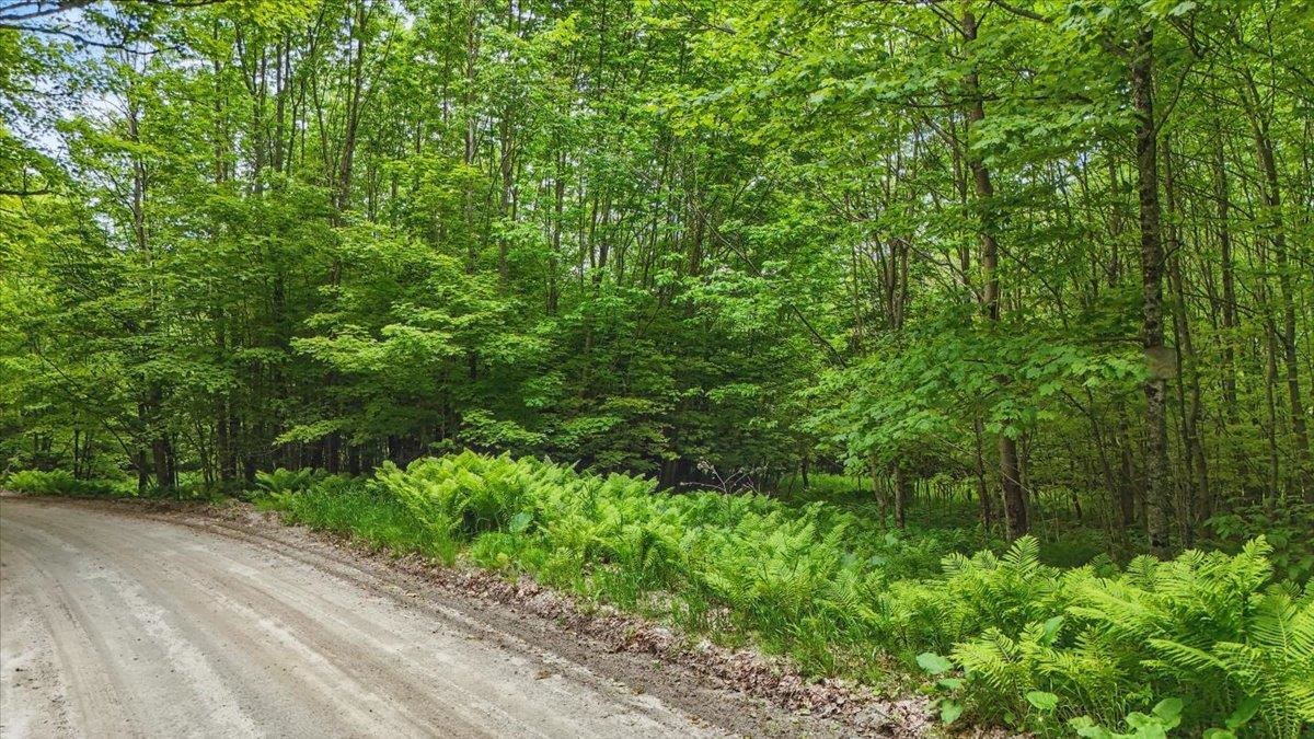 TBD Lot 2 Woodcock Road