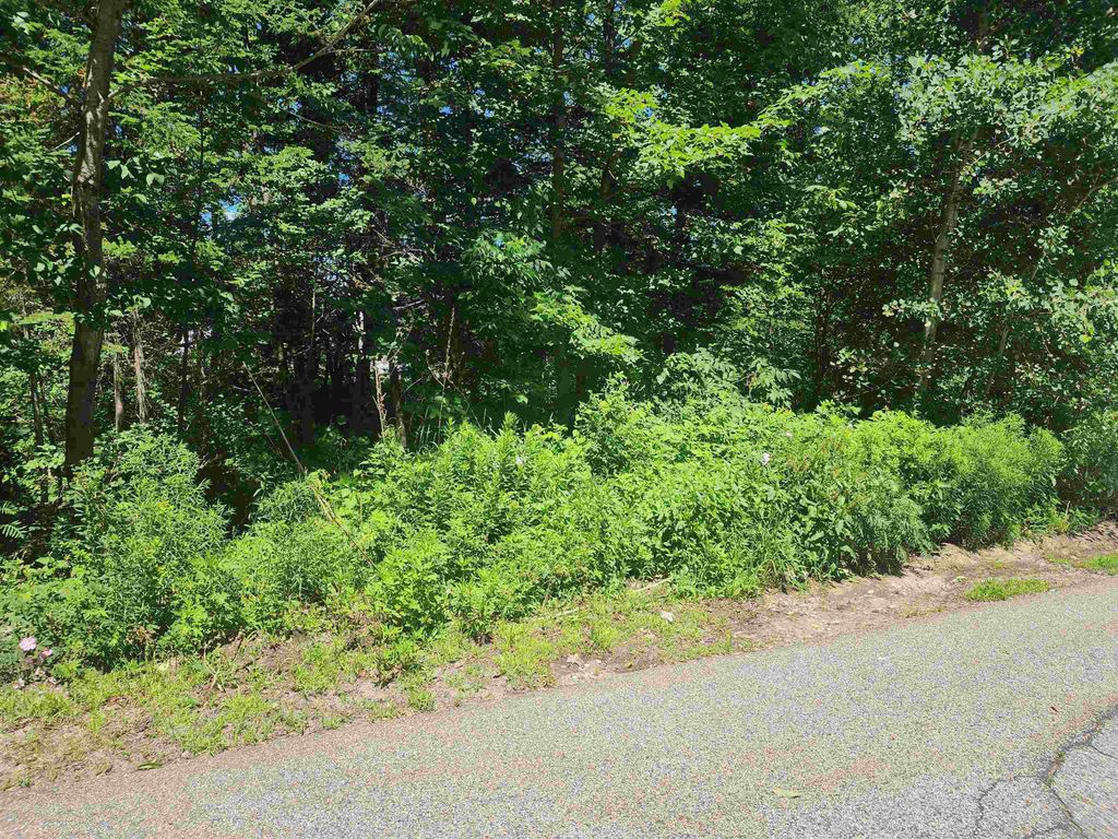 Photo of 00 Mcgee Street, Berlin, NH 03570 (MLS # 5002902)