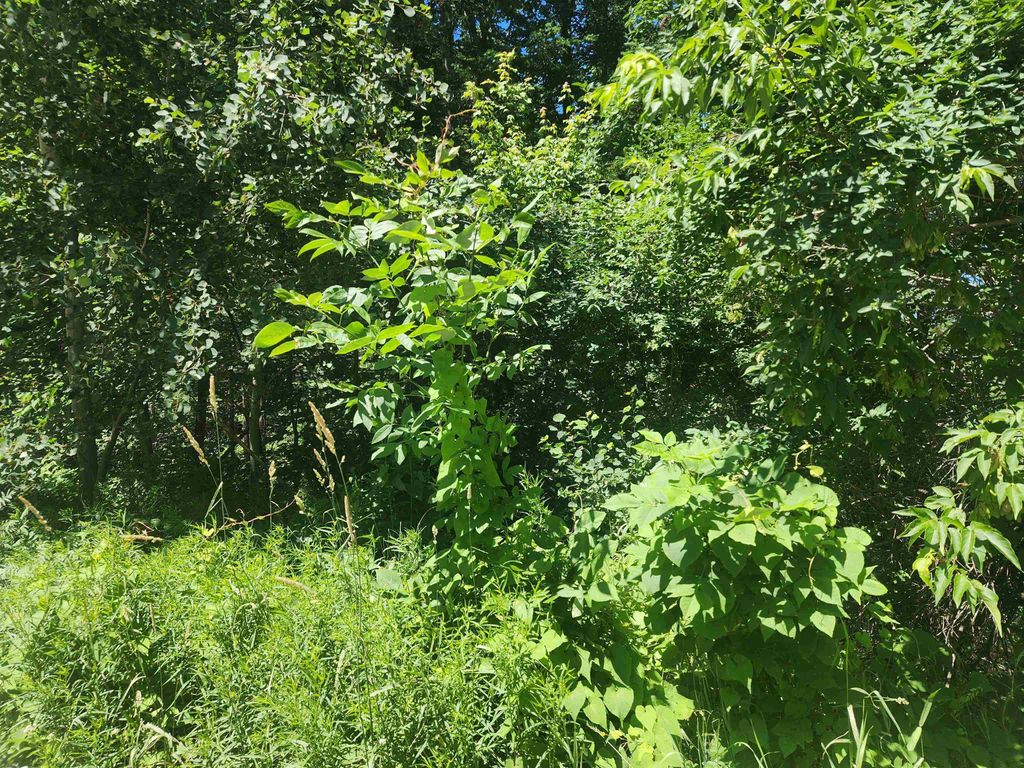 Photo of 00 Mcgee Street, Berlin, NH 03570 (MLS # 5002902)