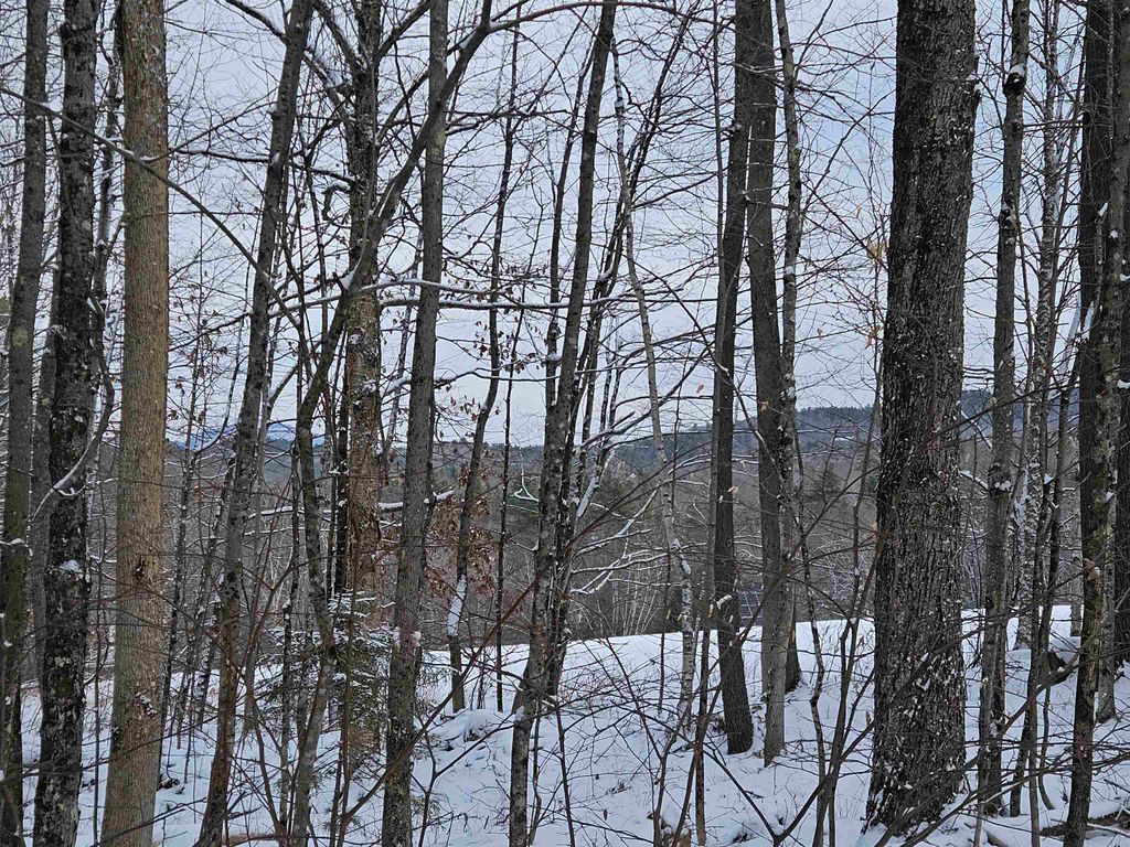 Photo of 47 Highbridge Road, Lyme, NH 03768 (MLS # 5067525)