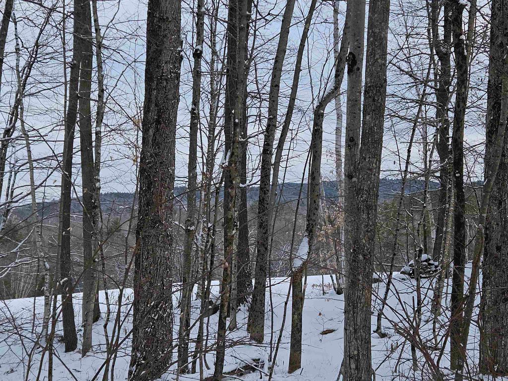 Photo of 47 Highbridge Road, Lyme, NH 03768 (MLS # 5067525)