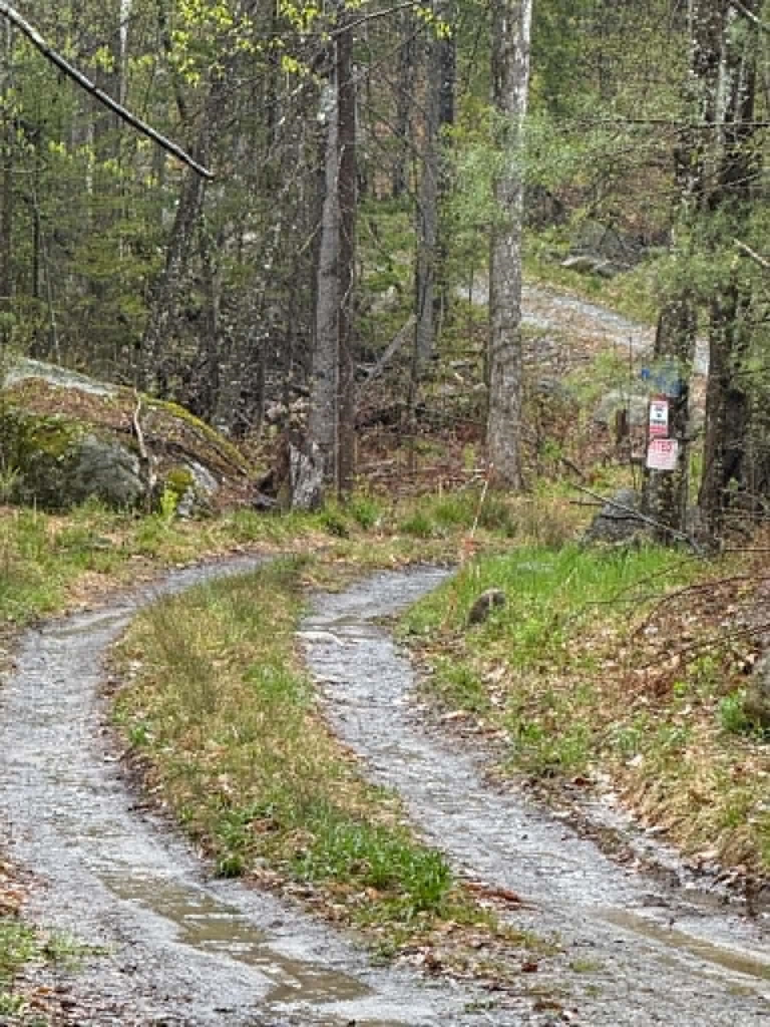 20 Fortsalong Road L