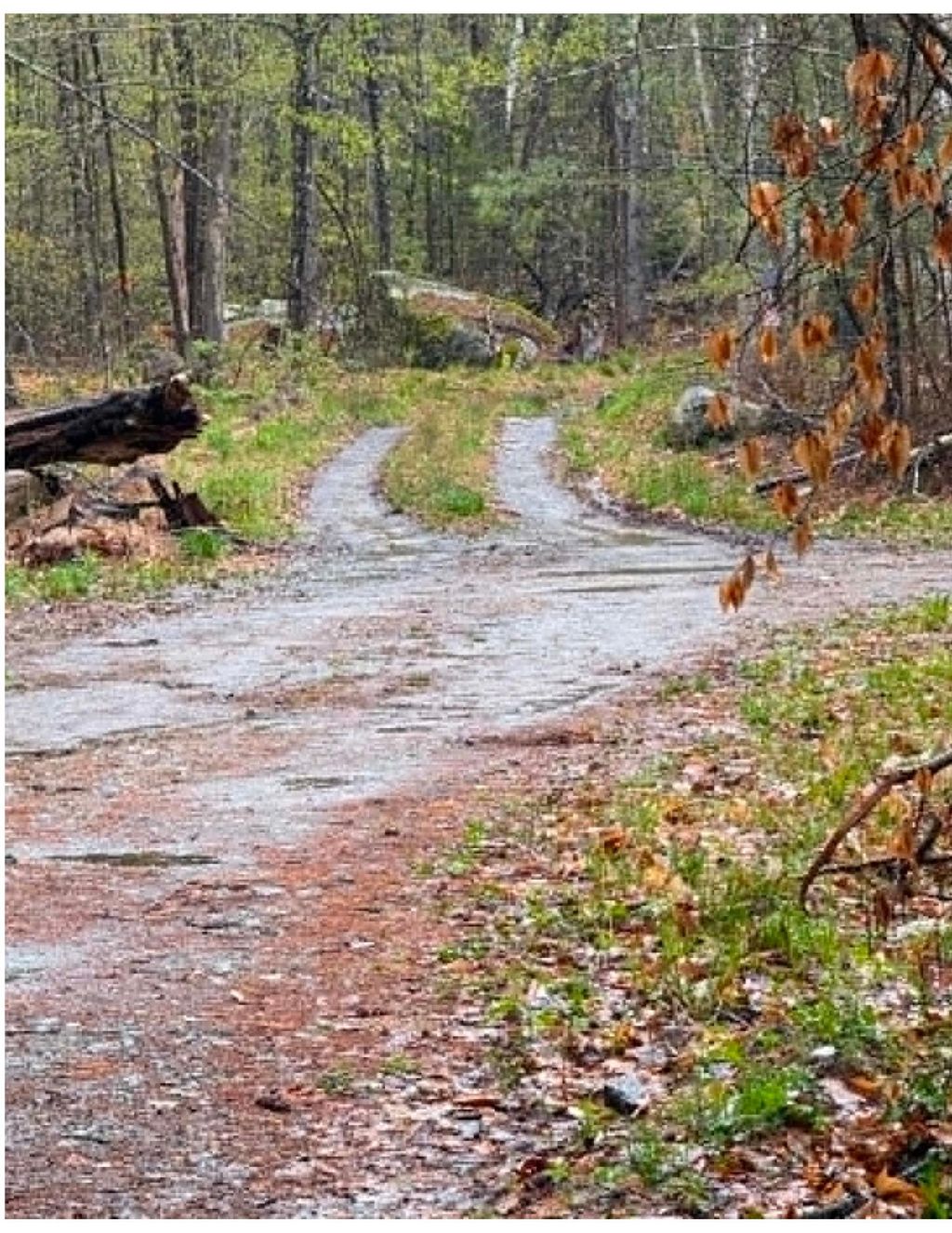 Photo of 20 Fortsalong Road #L, Meredith, NH 03253 (MLS # 5087922)