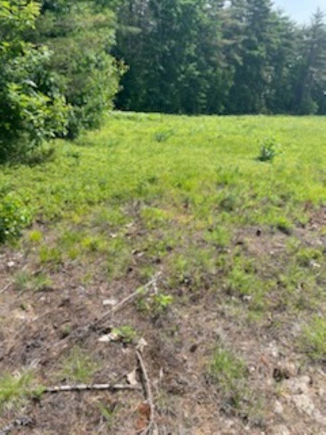 Barnstead, New Hampshire 03225, United States, ,Commercial,Pending,53992