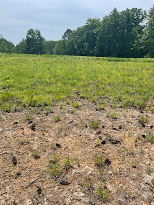 Barnstead, New Hampshire 03225, United States, ,Commercial,Pending,53992