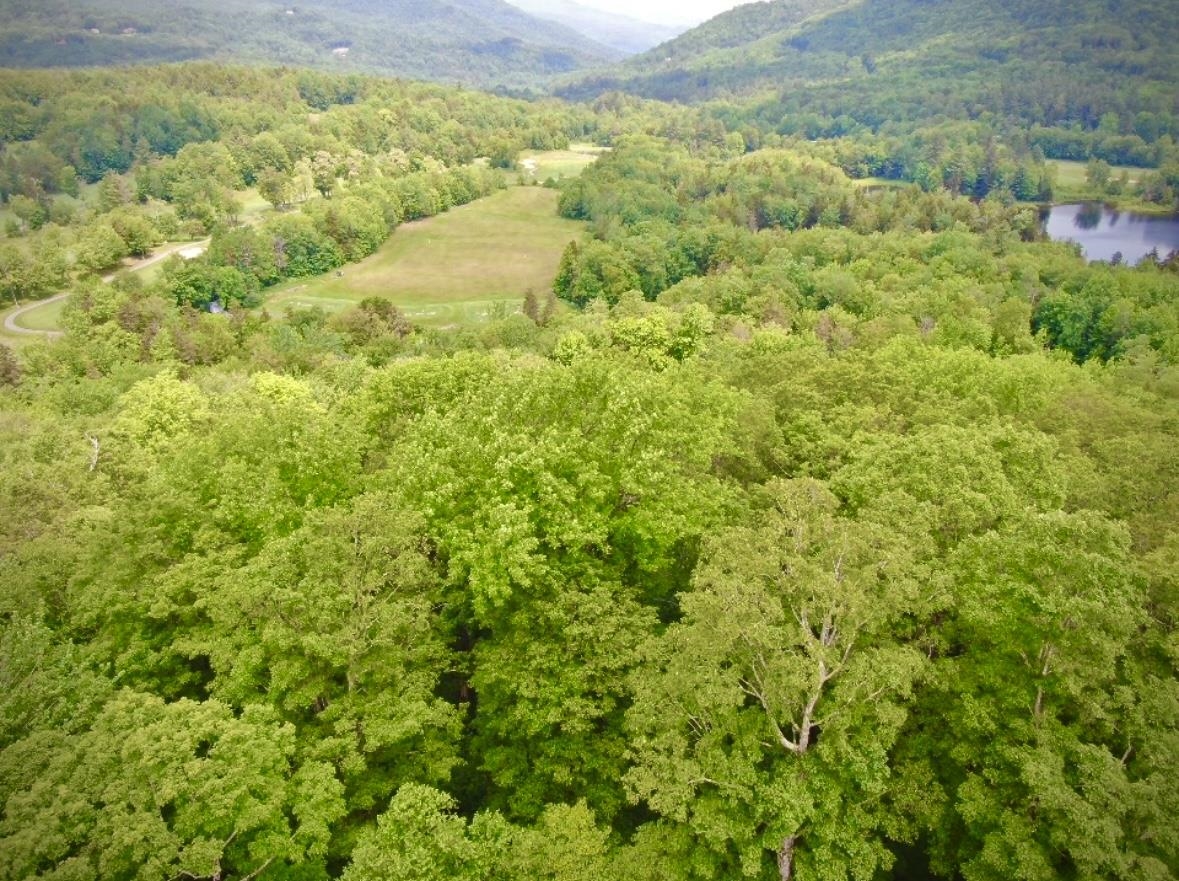 LOT 12 Barrows Towne Road