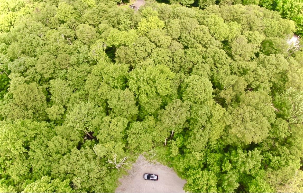 LOT 12 Barrows Towne Road