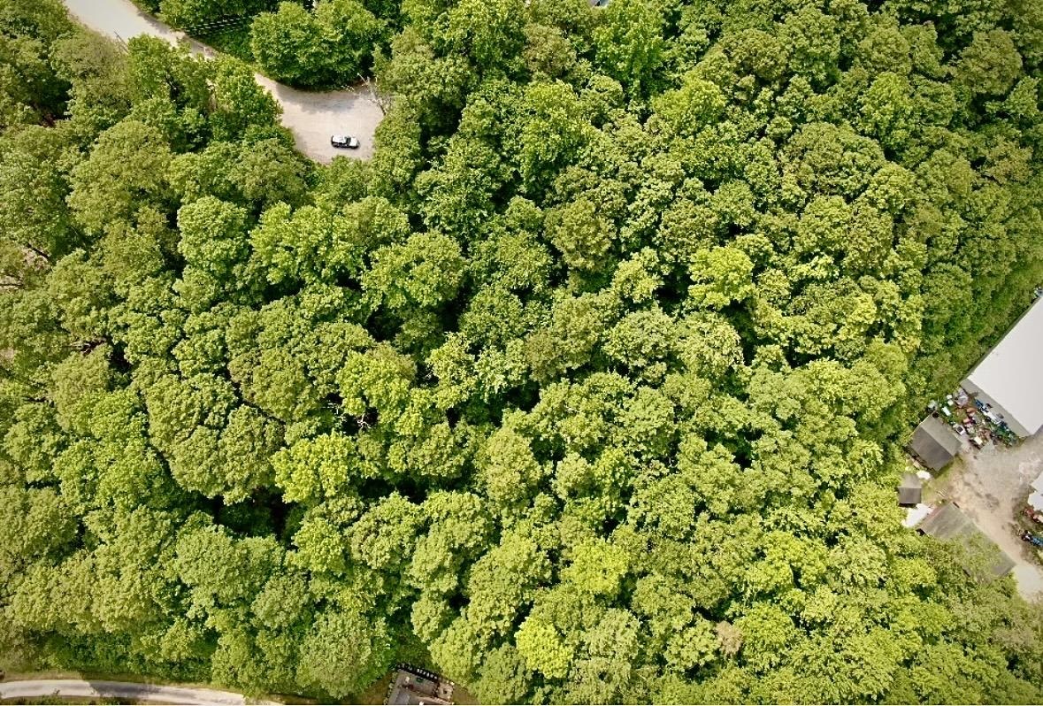 LOT 12 Barrows Towne Road