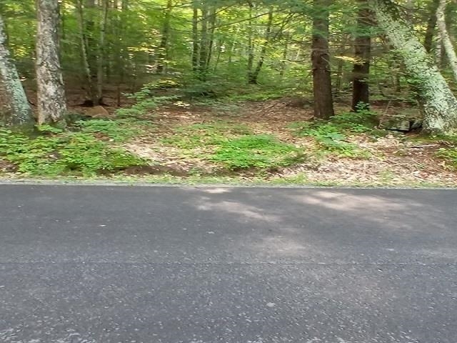 420 Sutton Road