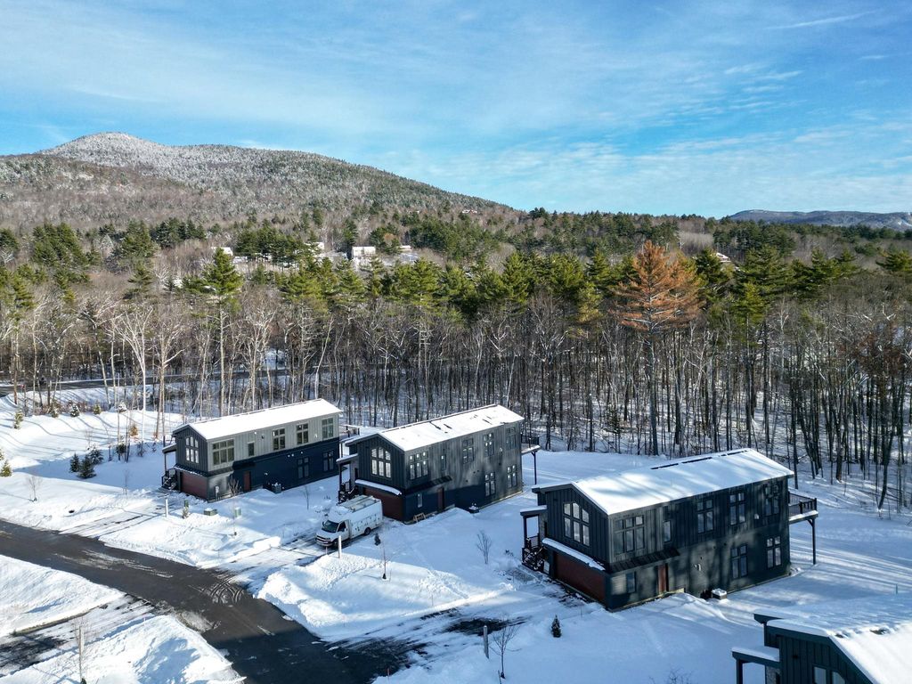 Photo of 21 Hidden Glade Drive, Bartlett, NH 03845 (MLS # 5070304)