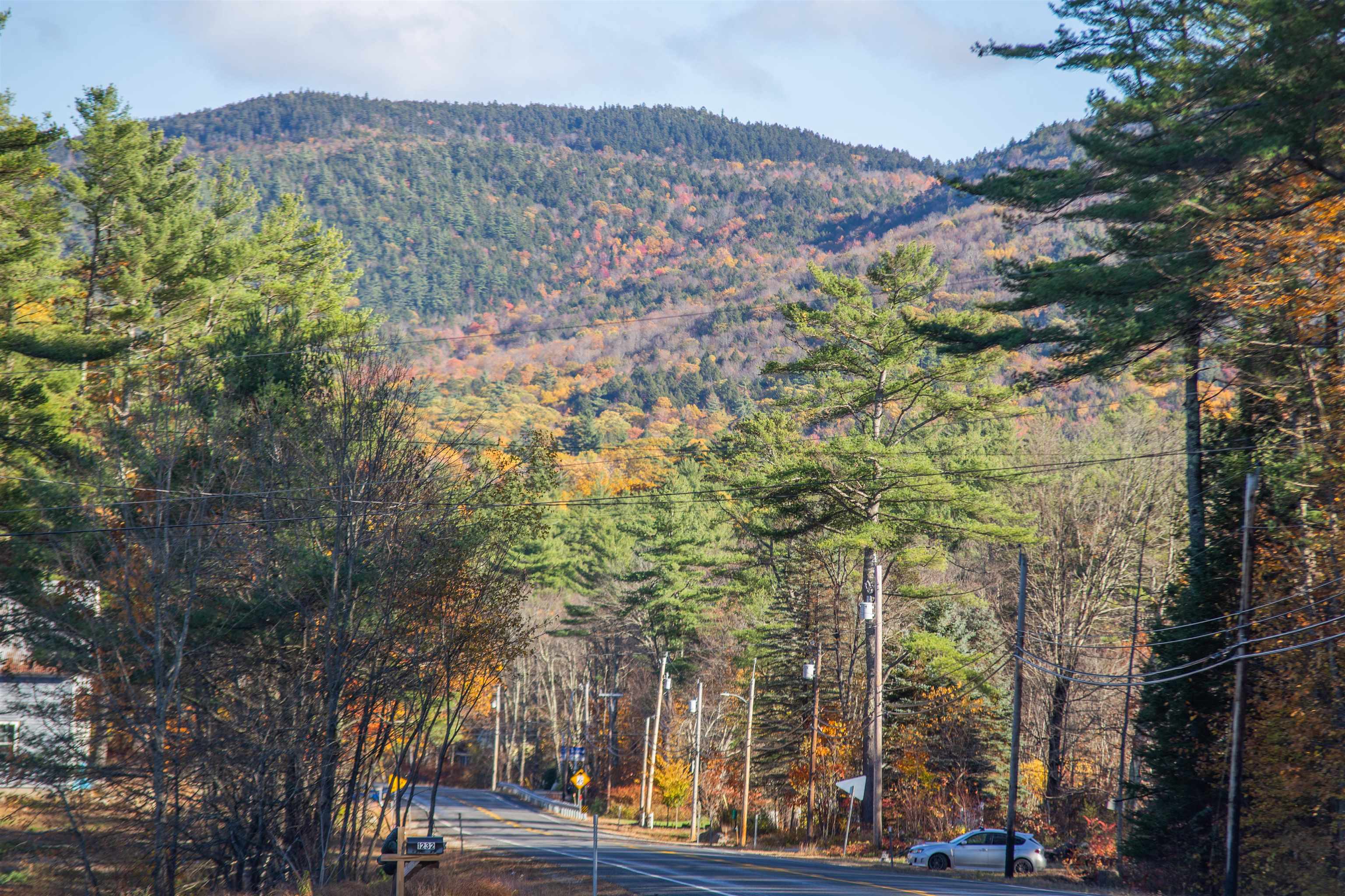 1252 Bearcamp Highway