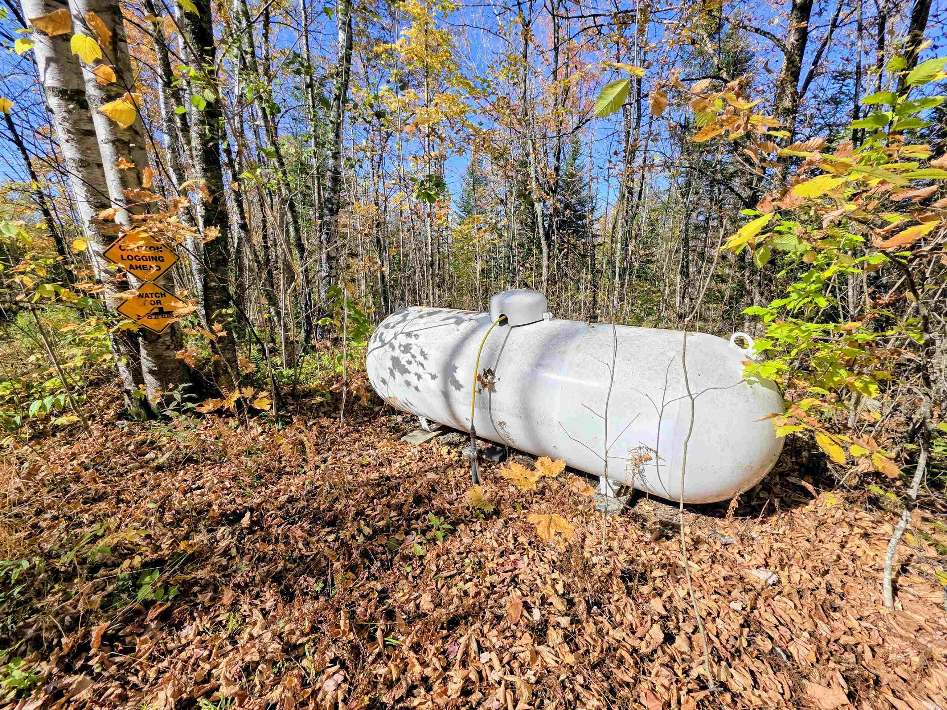 Columbia, New Hampshire 03590, United States, 1 Bedroom Bedrooms, ,1 BathroomBathrooms,Residential,Active,222176