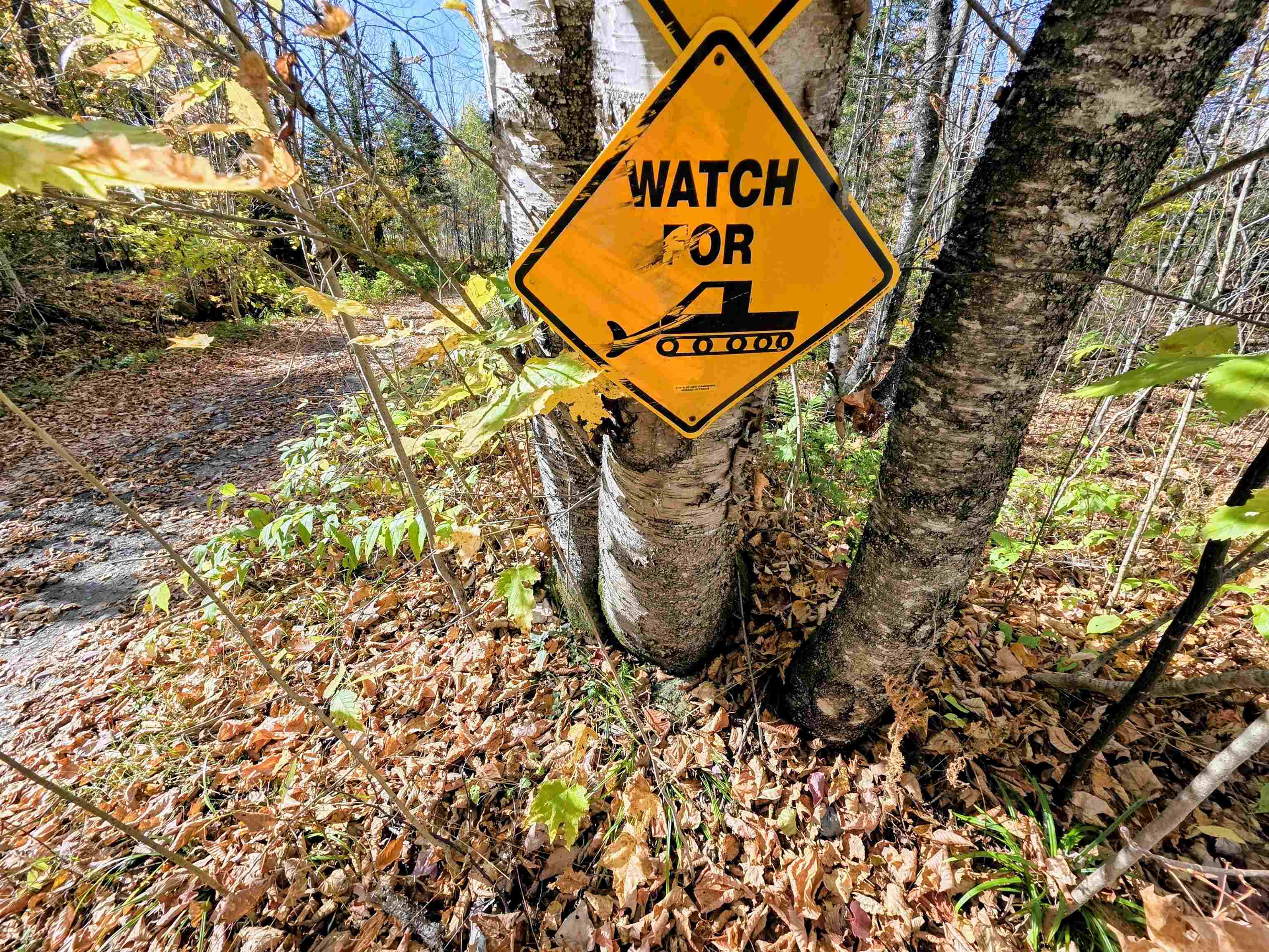 Columbia, New Hampshire 03590, United States, 1 Bedroom Bedrooms, ,1 BathroomBathrooms,Residential,Active,222176