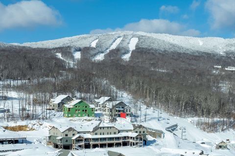 37 Village Center Road Blue Spruce #4 Ludlow VT 05149