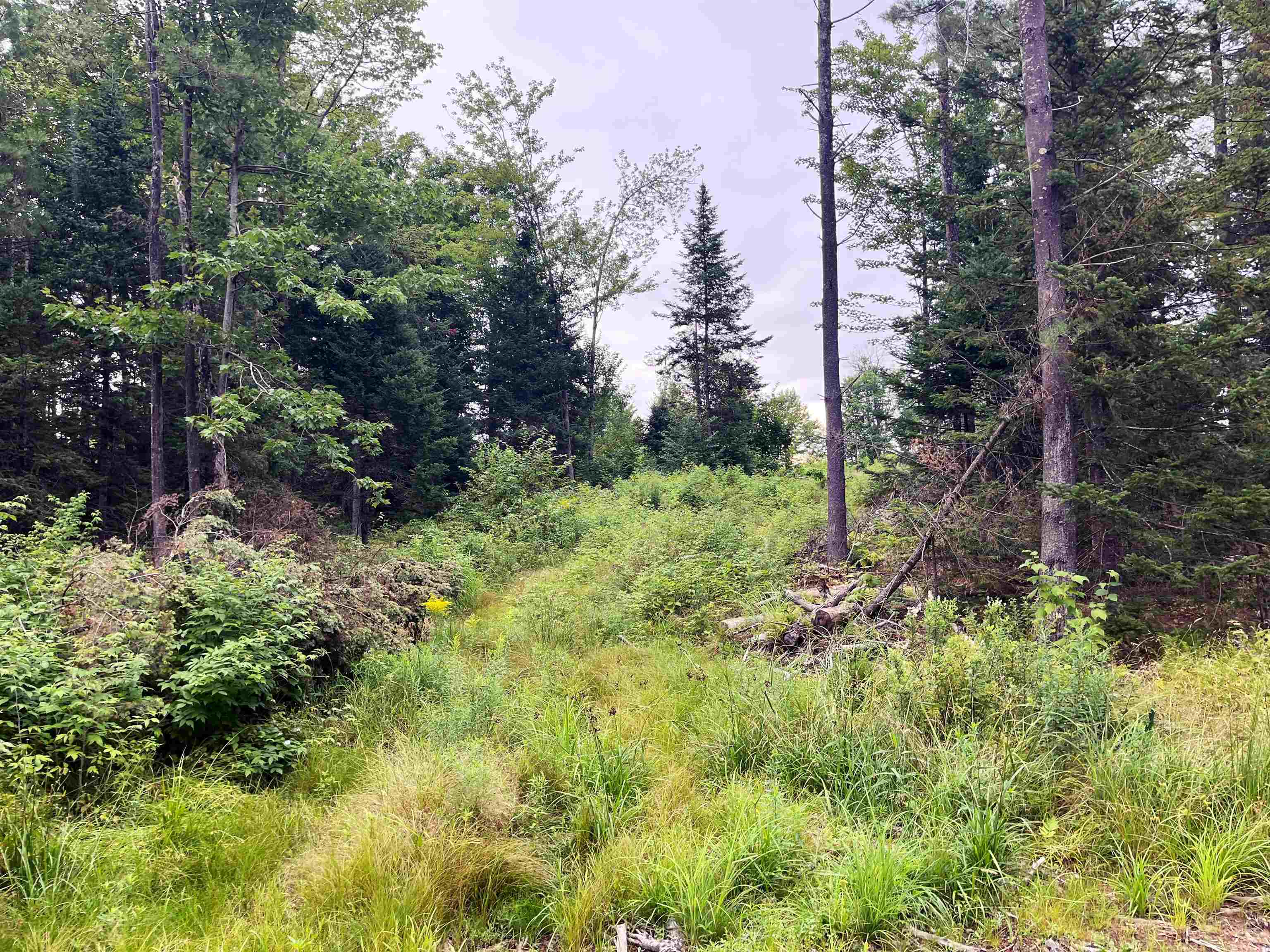 0 Blodgett Road