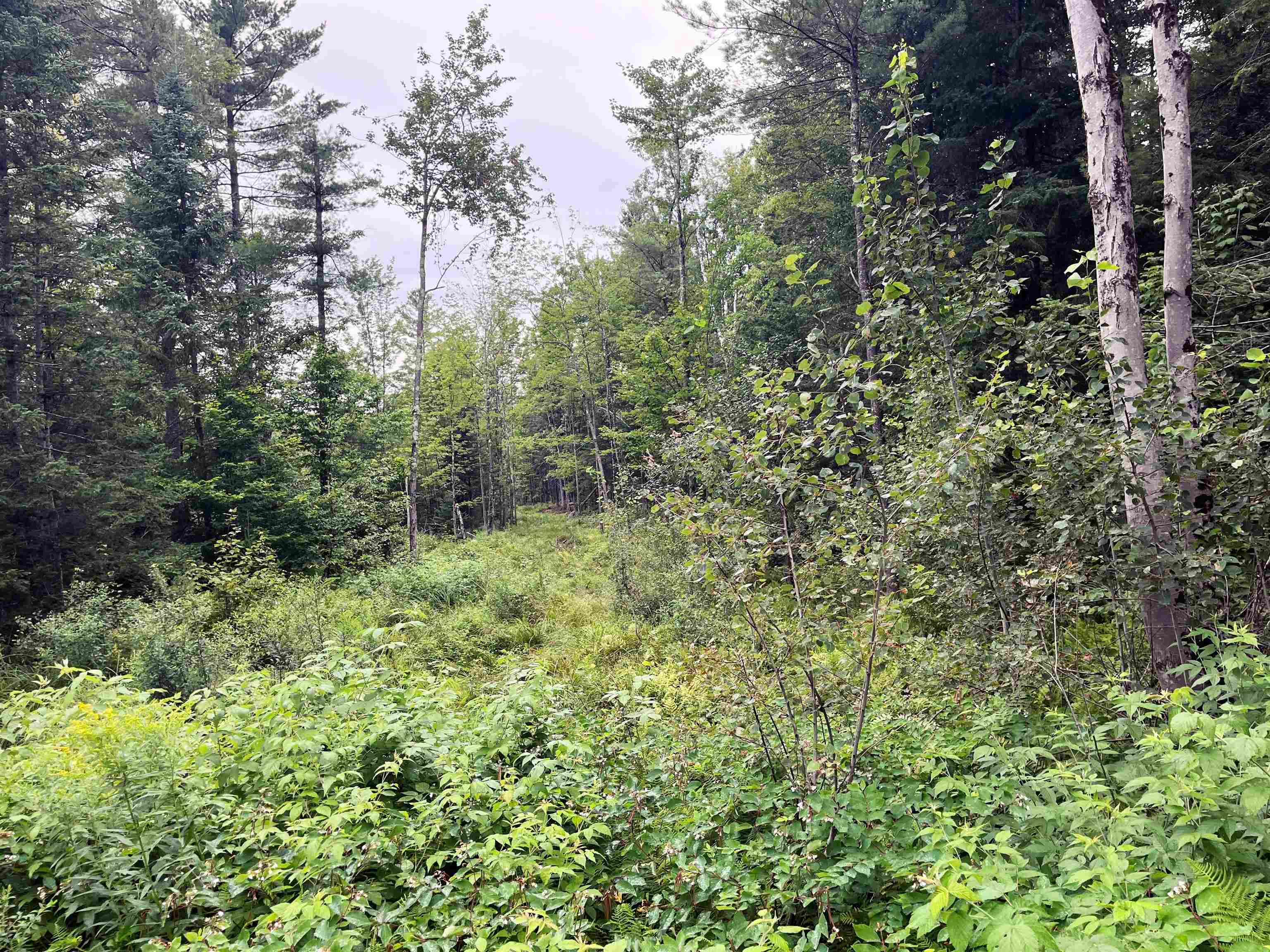0 Blodgett Road
